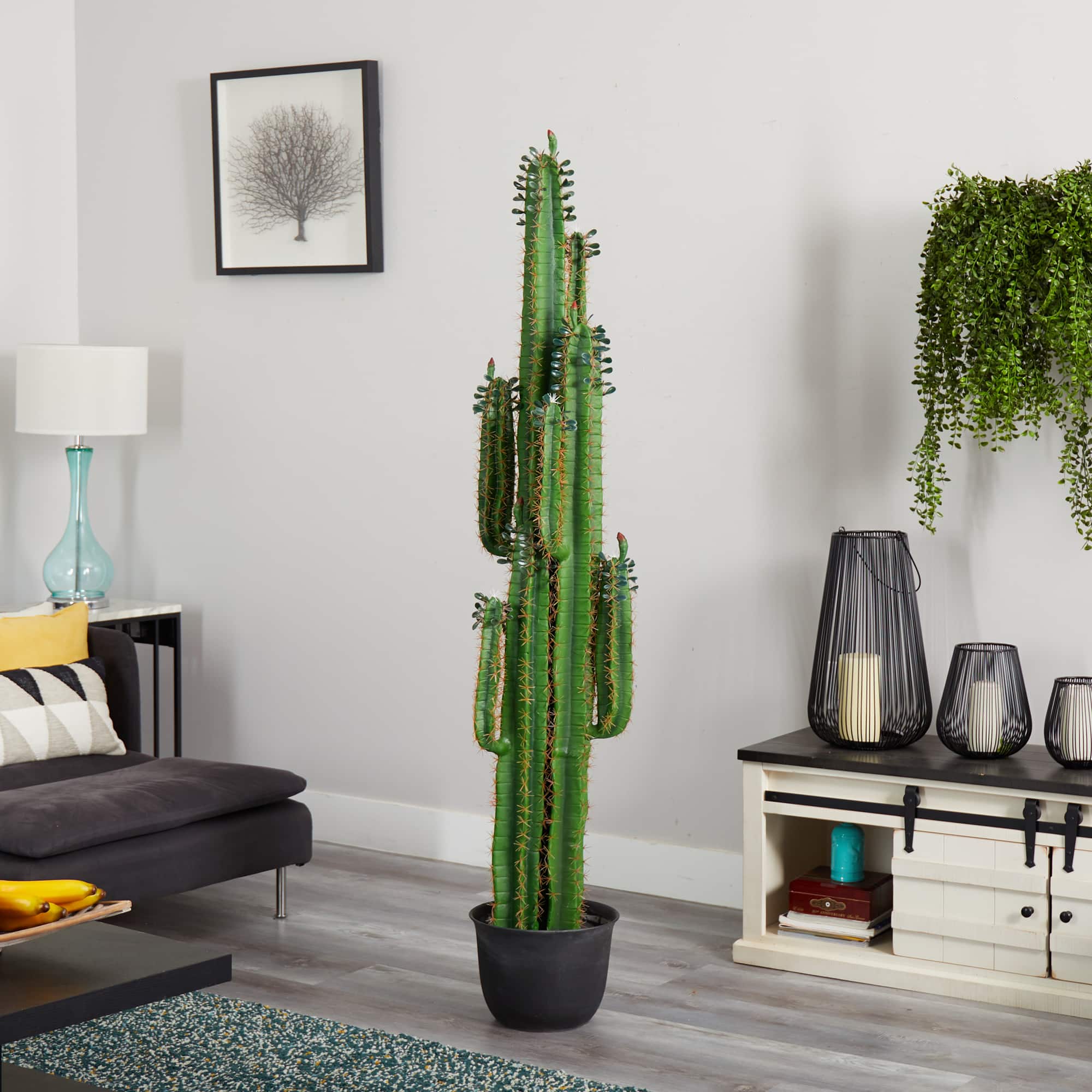 6.5ft. Potted Cactus Plant