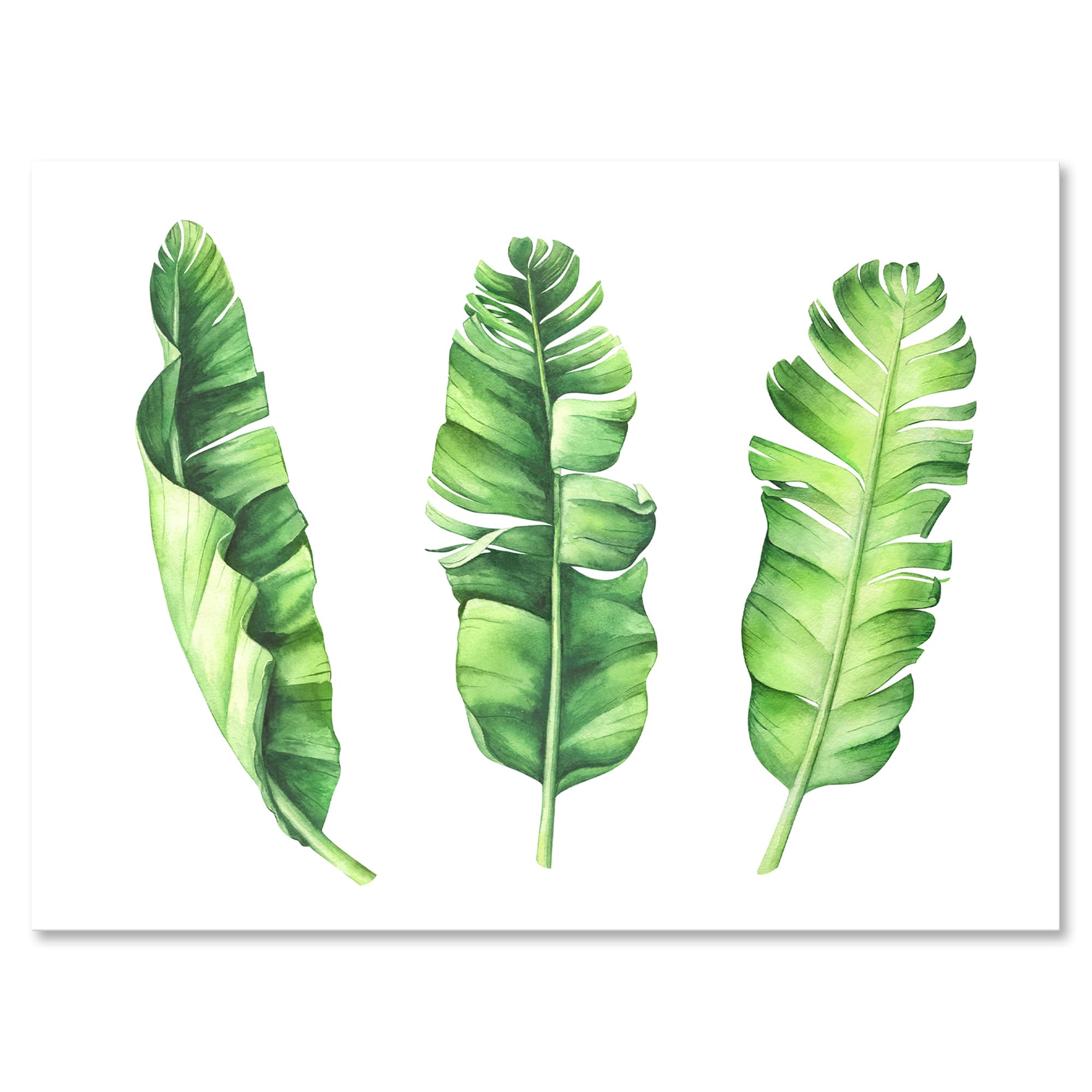 Designart - Tropical Banana Leaves Set - Farmhouse Canvas Wall Art Print