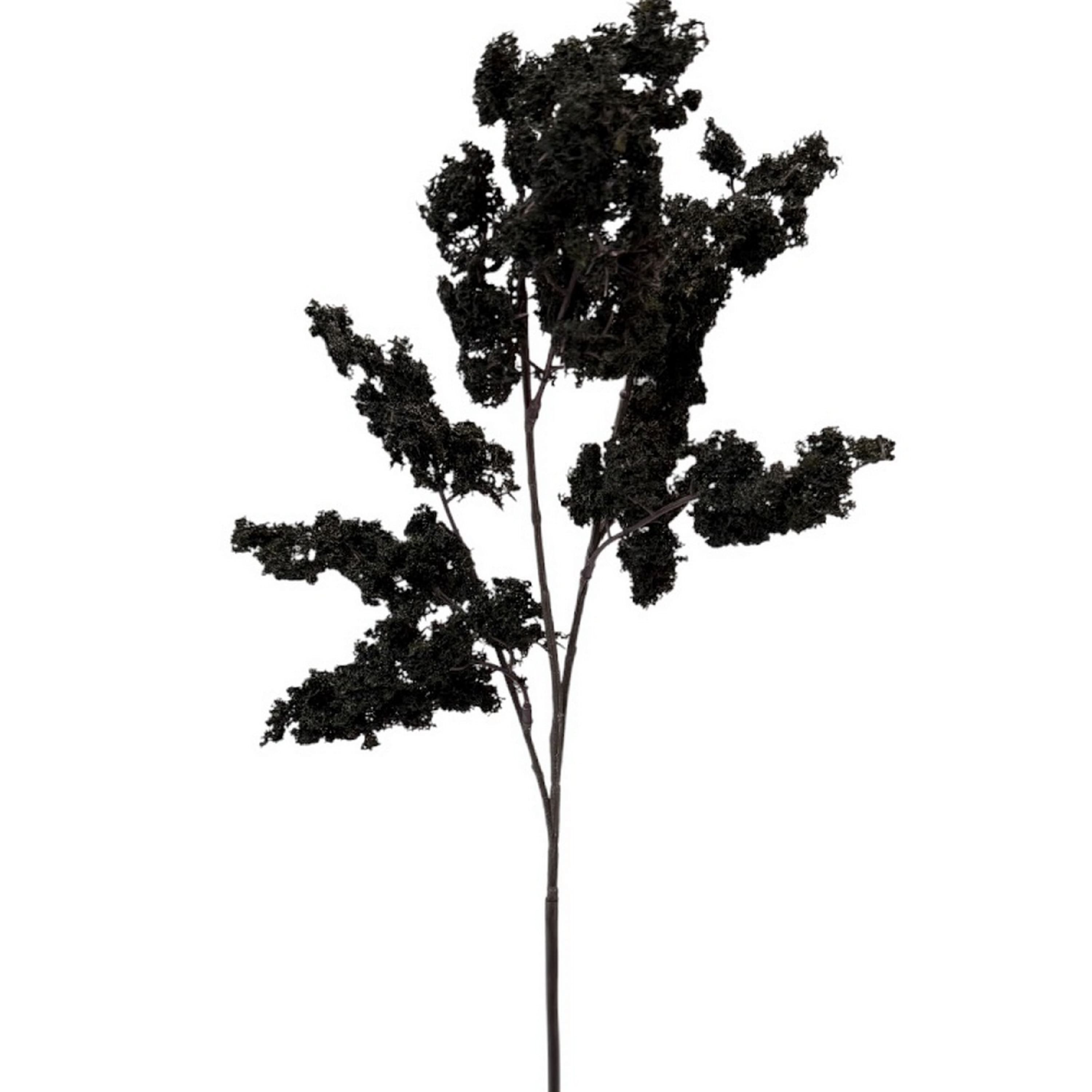 29" Black Moss Stem by Ashland®