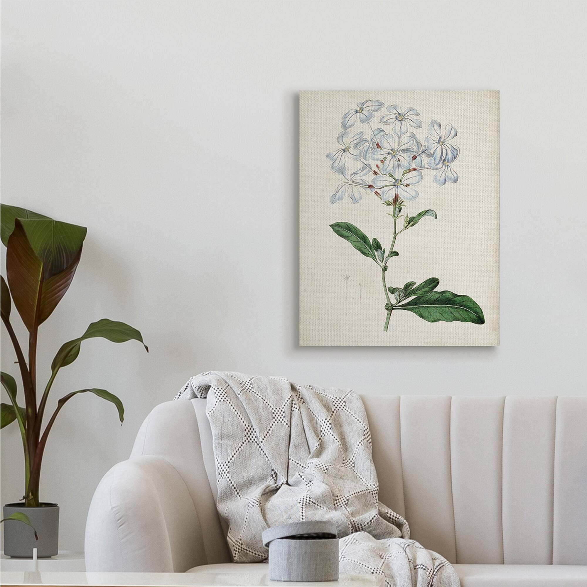 Stupell Industries Rustic Garden Floral Study Charming White Blossoms Canvas Wall Art
