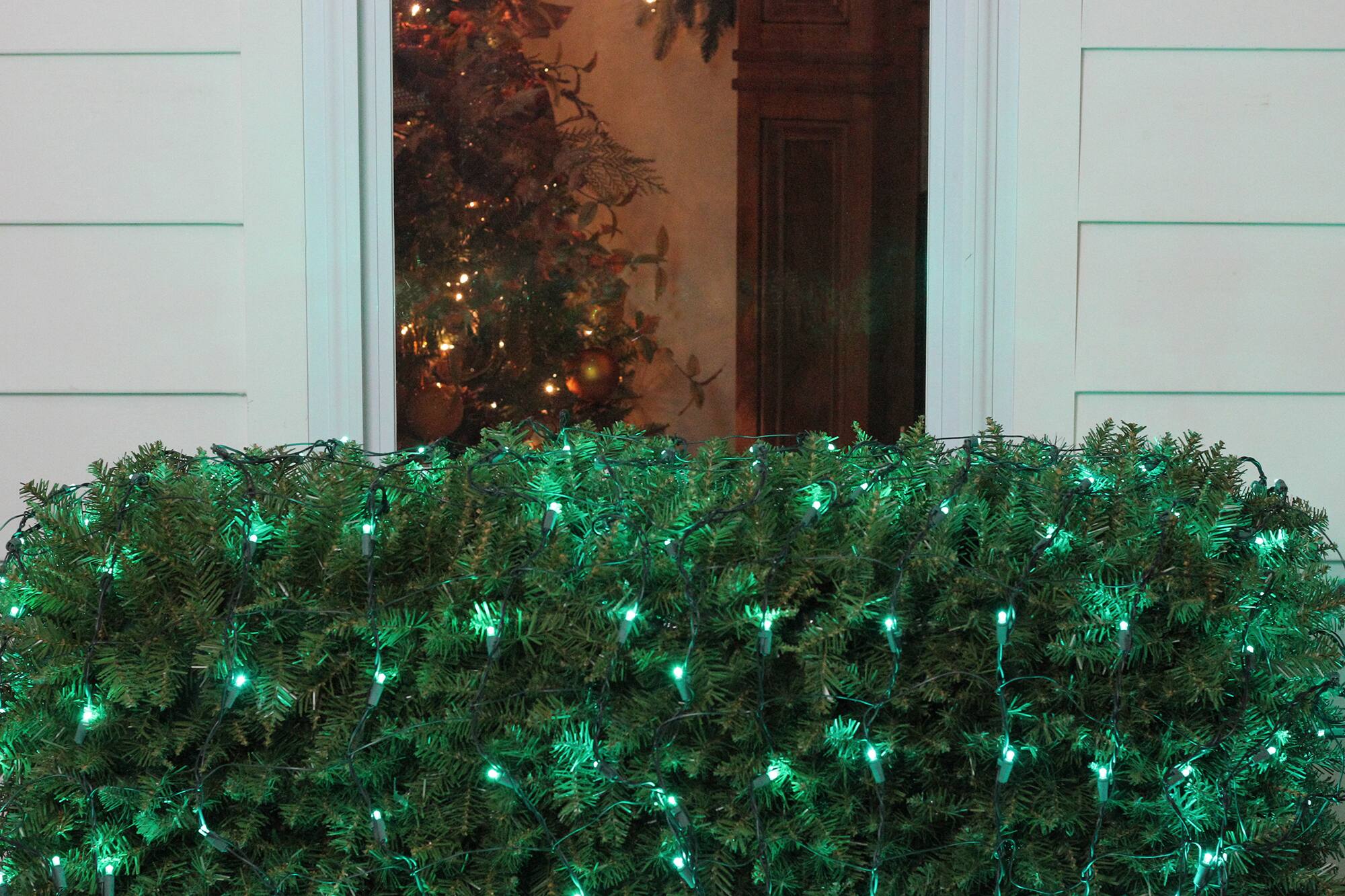 4ft. x 6ft. LED Wide Angle Net Style Christmas Lights