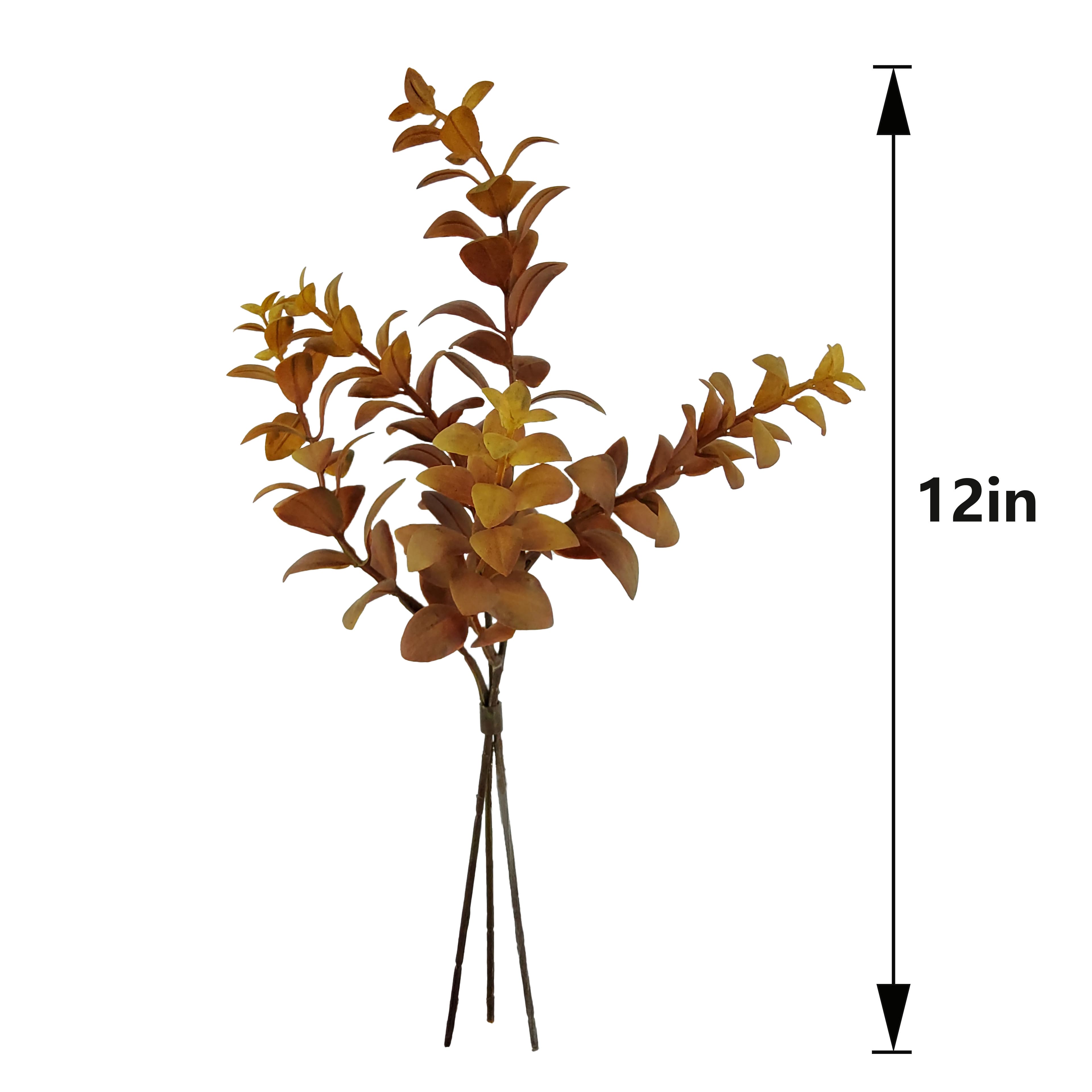 12" Brown Eucalyptus Bundle by Ashland®