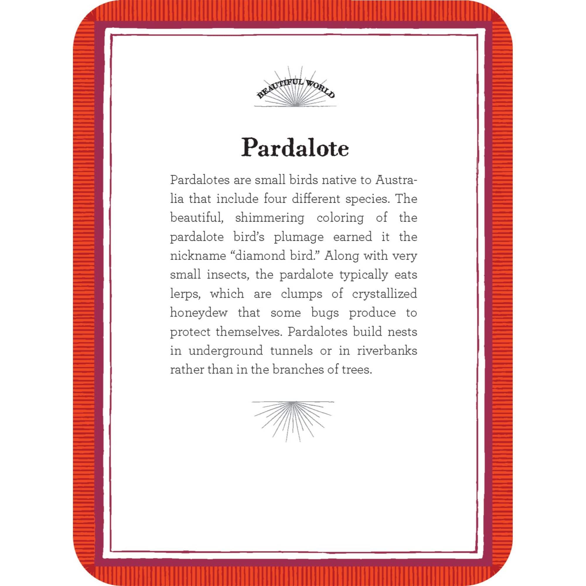 eeBoo Beautiful World Educational Flash Cards