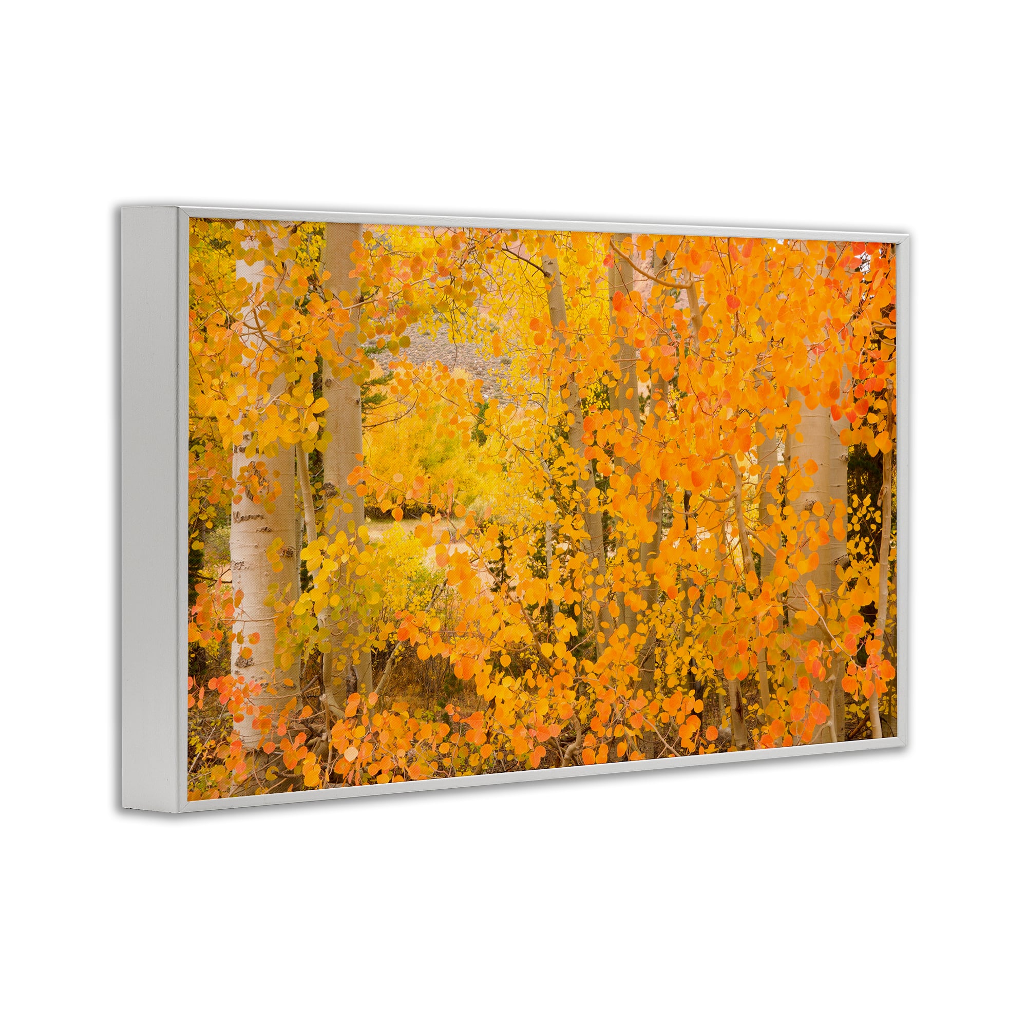 Stupell Industries Dense Birch Foliage Framed Giclee Art