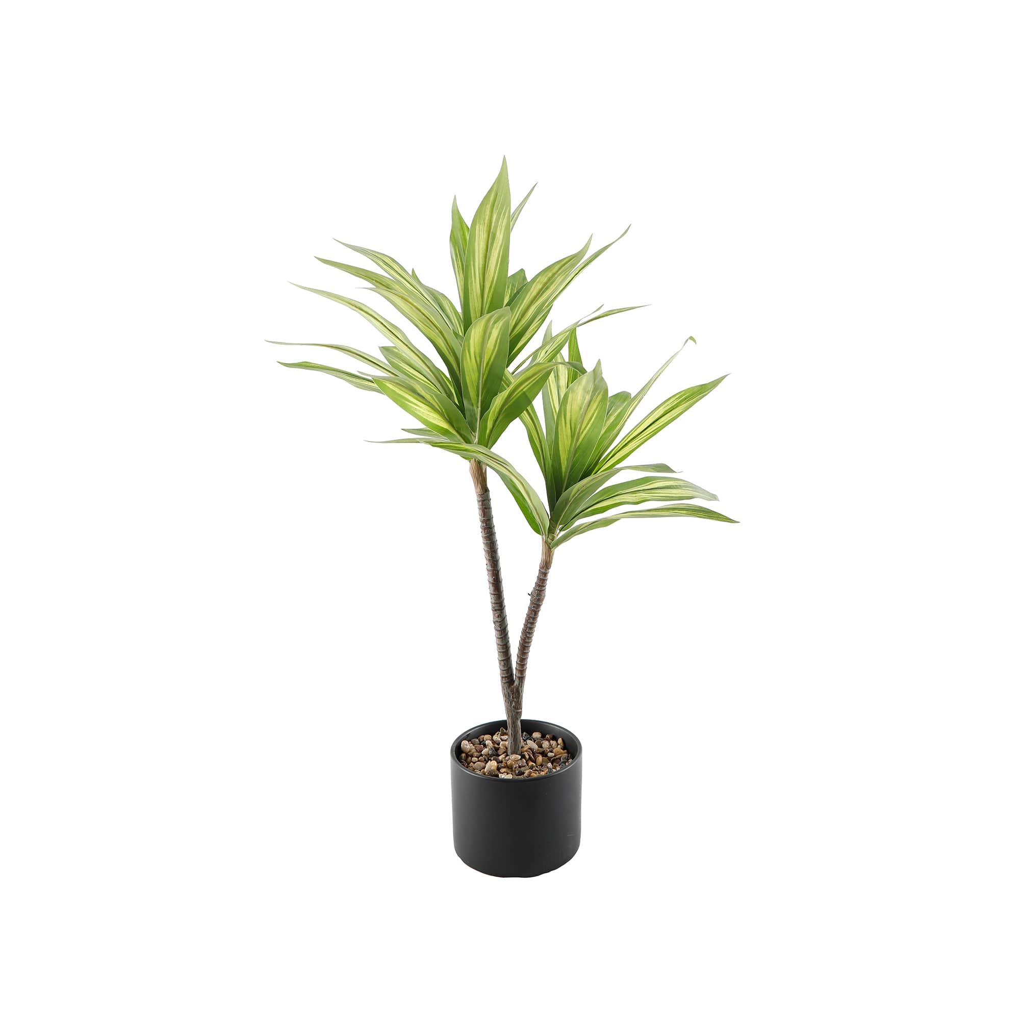 Flora Bunda® 3ft. Palm in Black Ceramic Planter