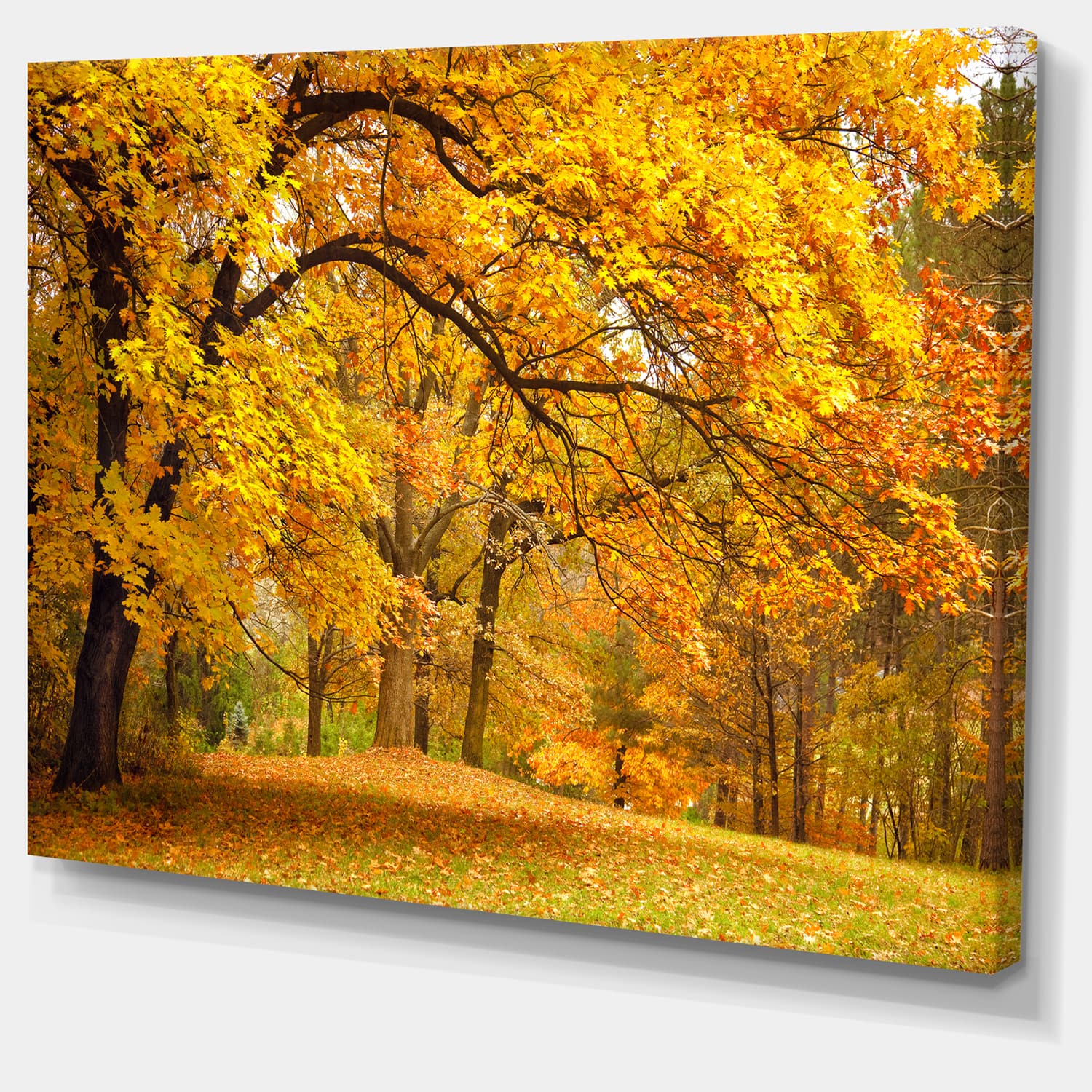 Designart - Golden Autumn Forest