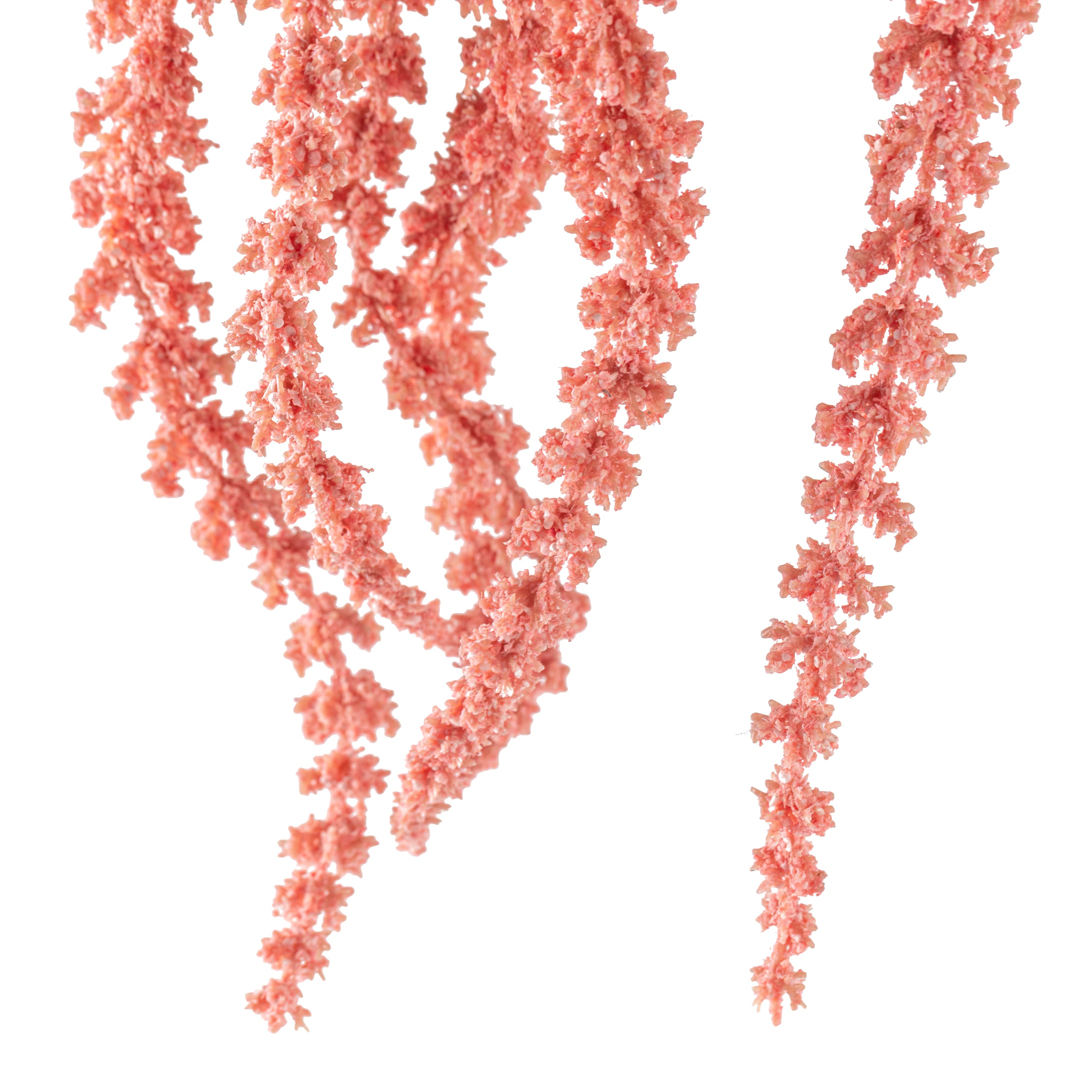 Pink & Cream Amaranthus Stem By Ashland®