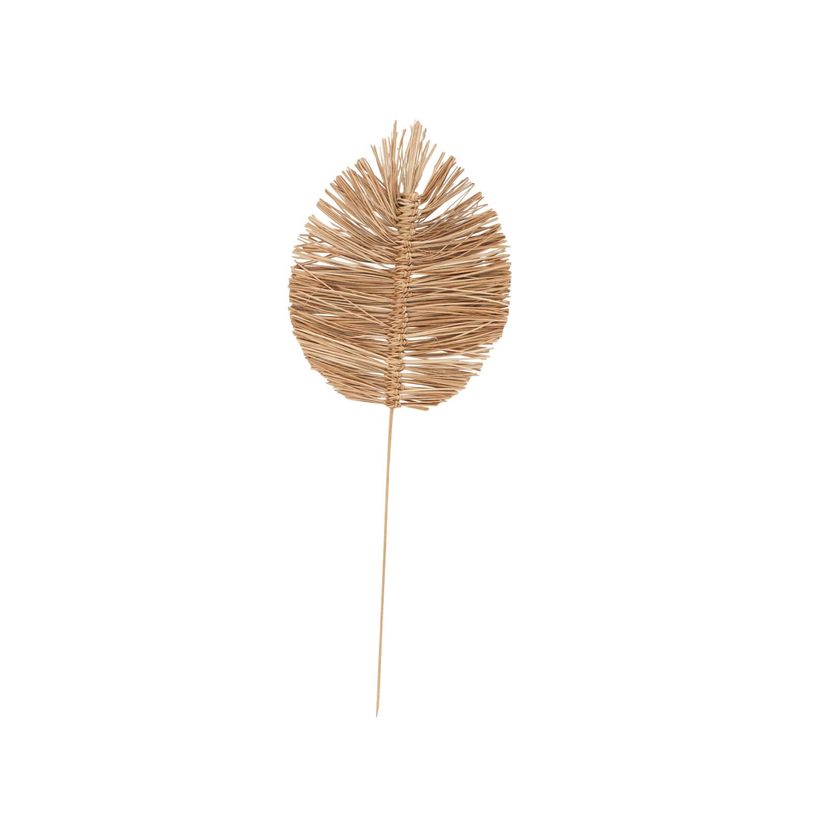 32" Brown Dried Grass Spear-Shaped Foliage with Sharp Stems