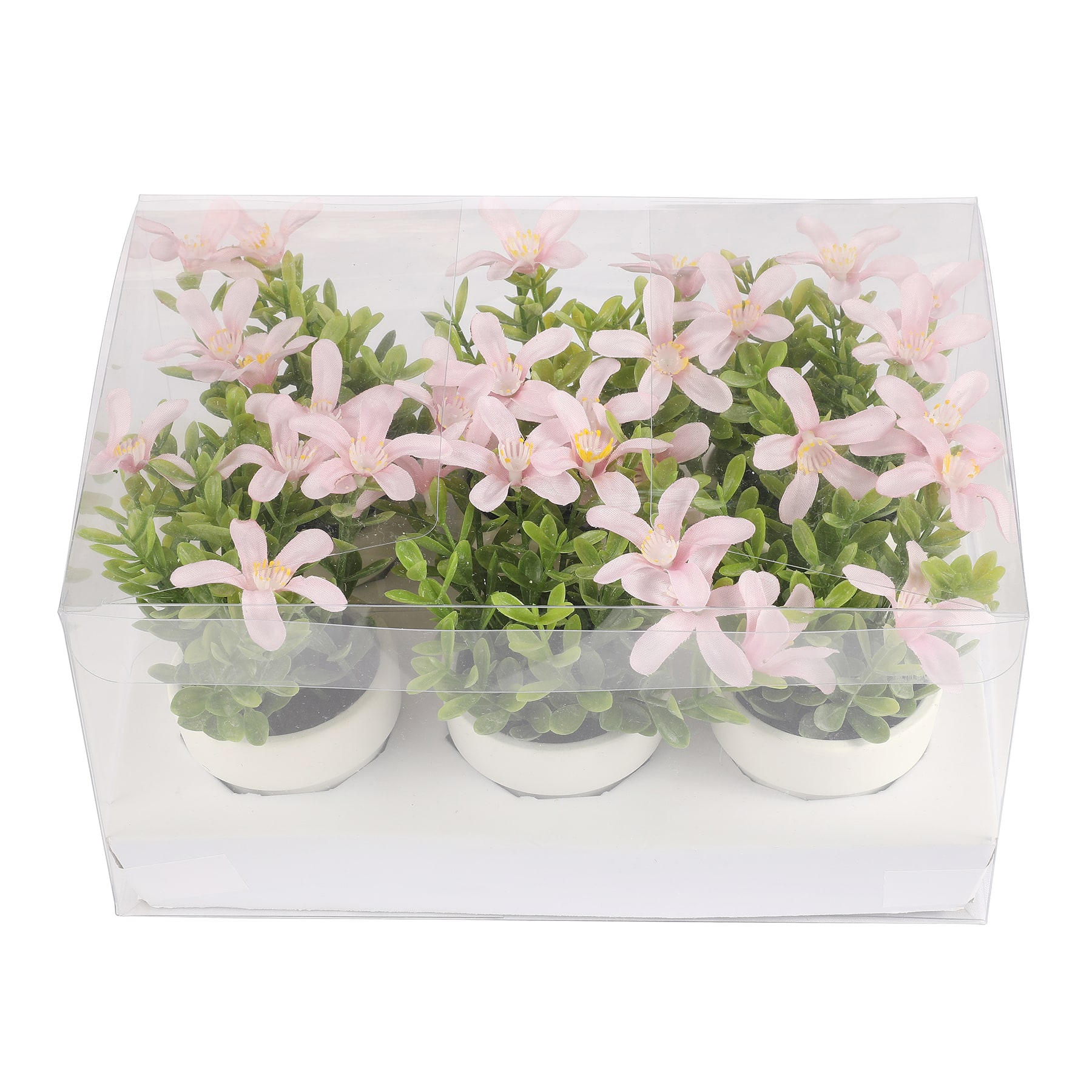 Mini Premade Boxwood Blooms in Terra Cotta Pots