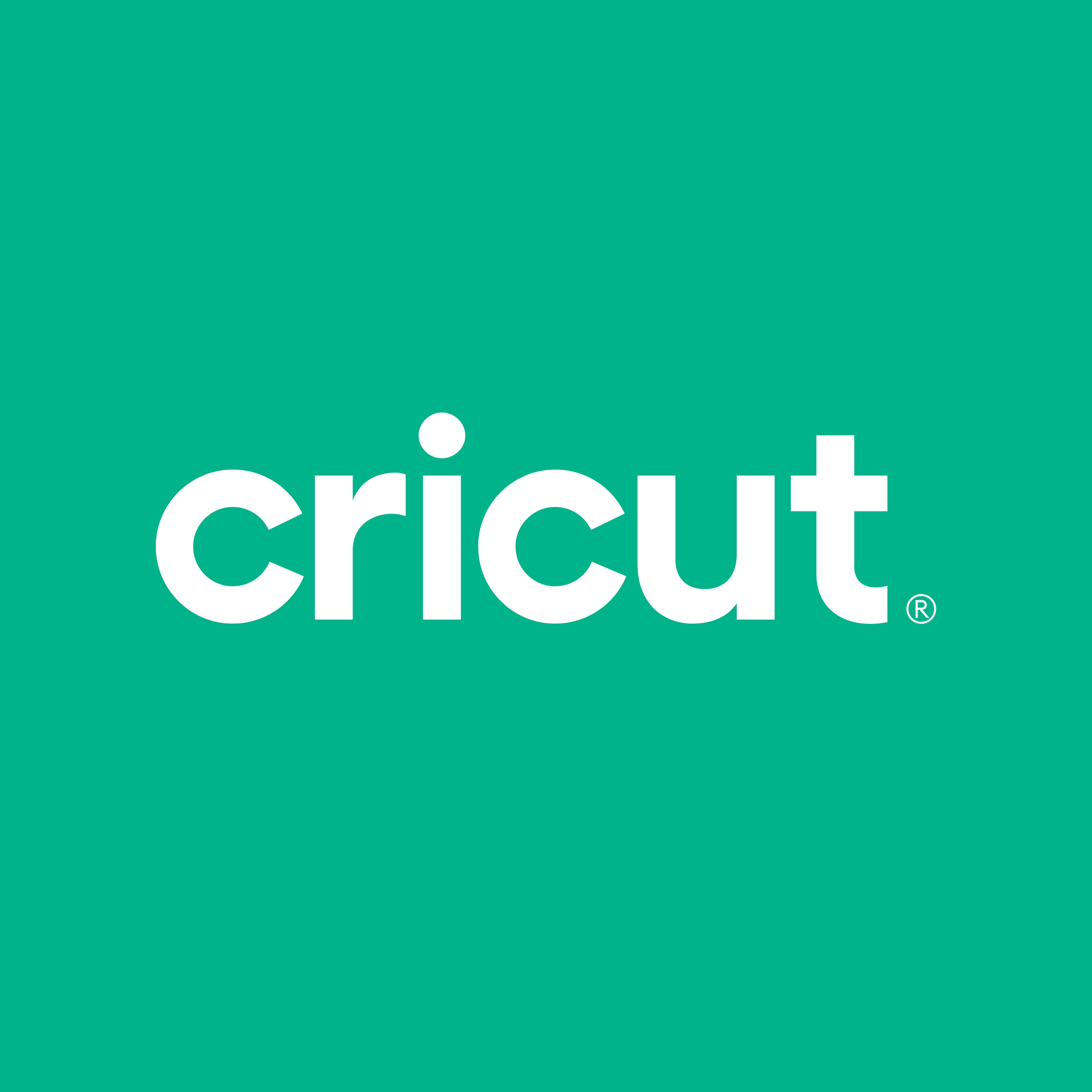 Cricut® Removable Matte Metallic Smart Vinyl