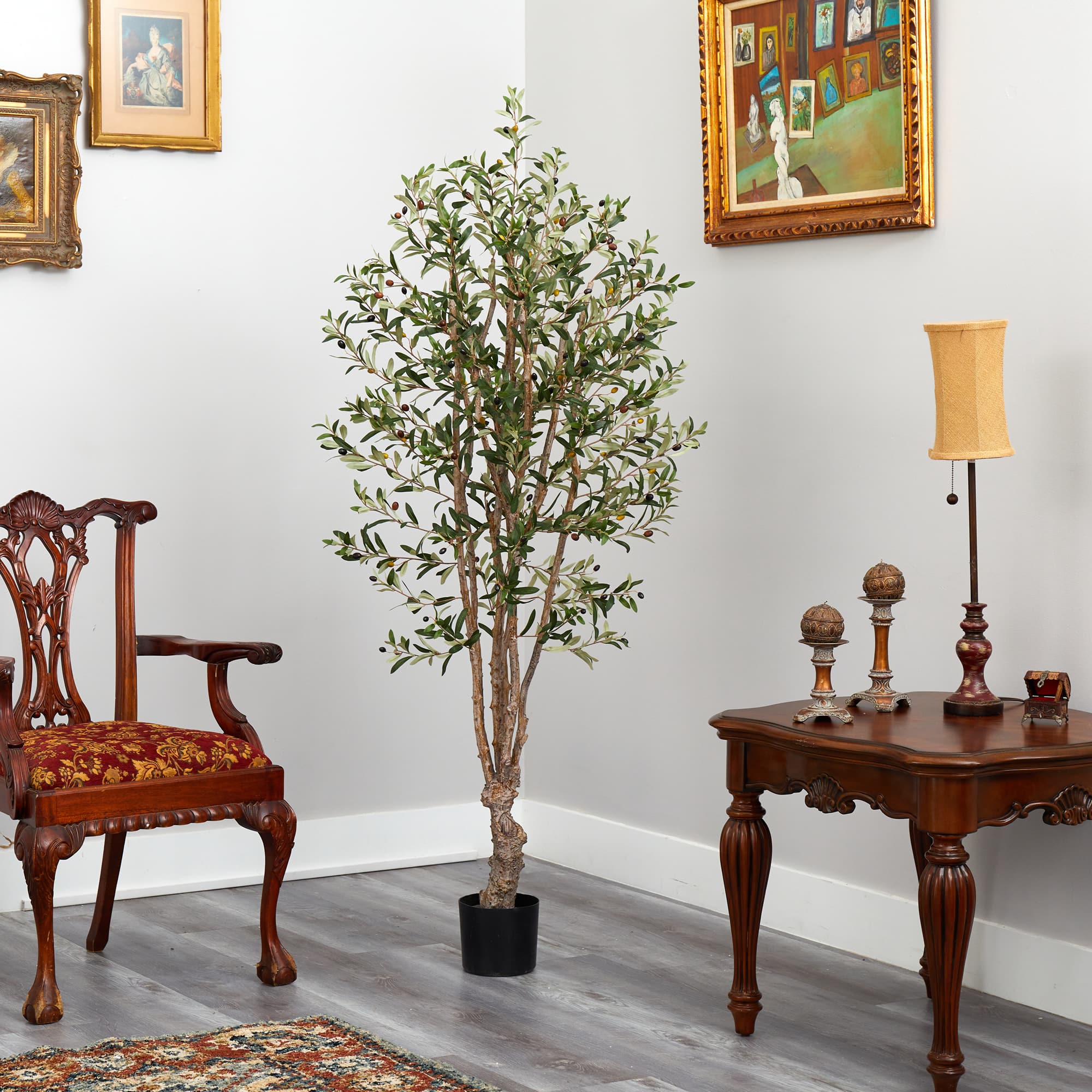 5ft. Potted Olive Tree