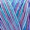 Soft Classic™ Multi Yarn by Loops & Threads®