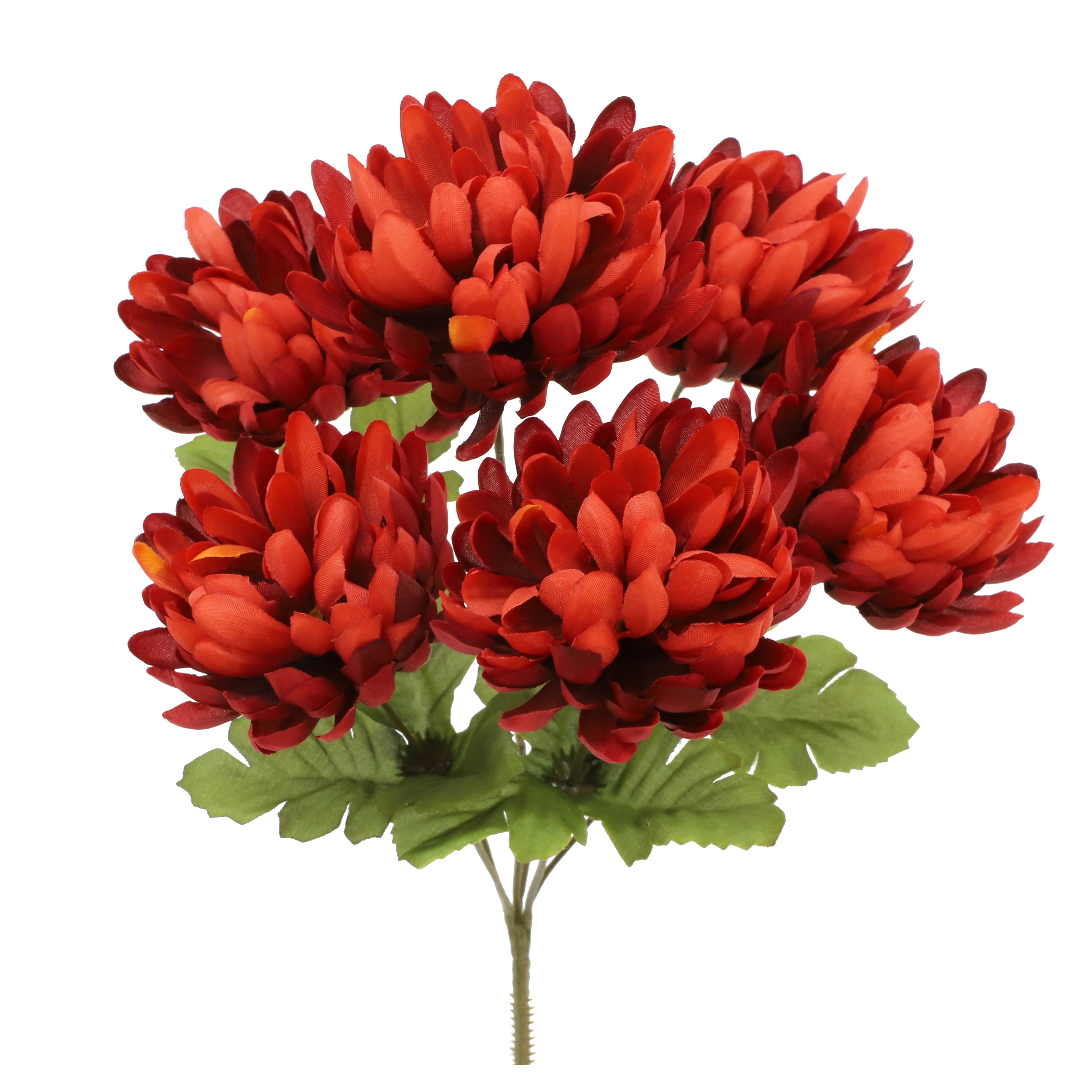 14" Mum Bush by Ashland