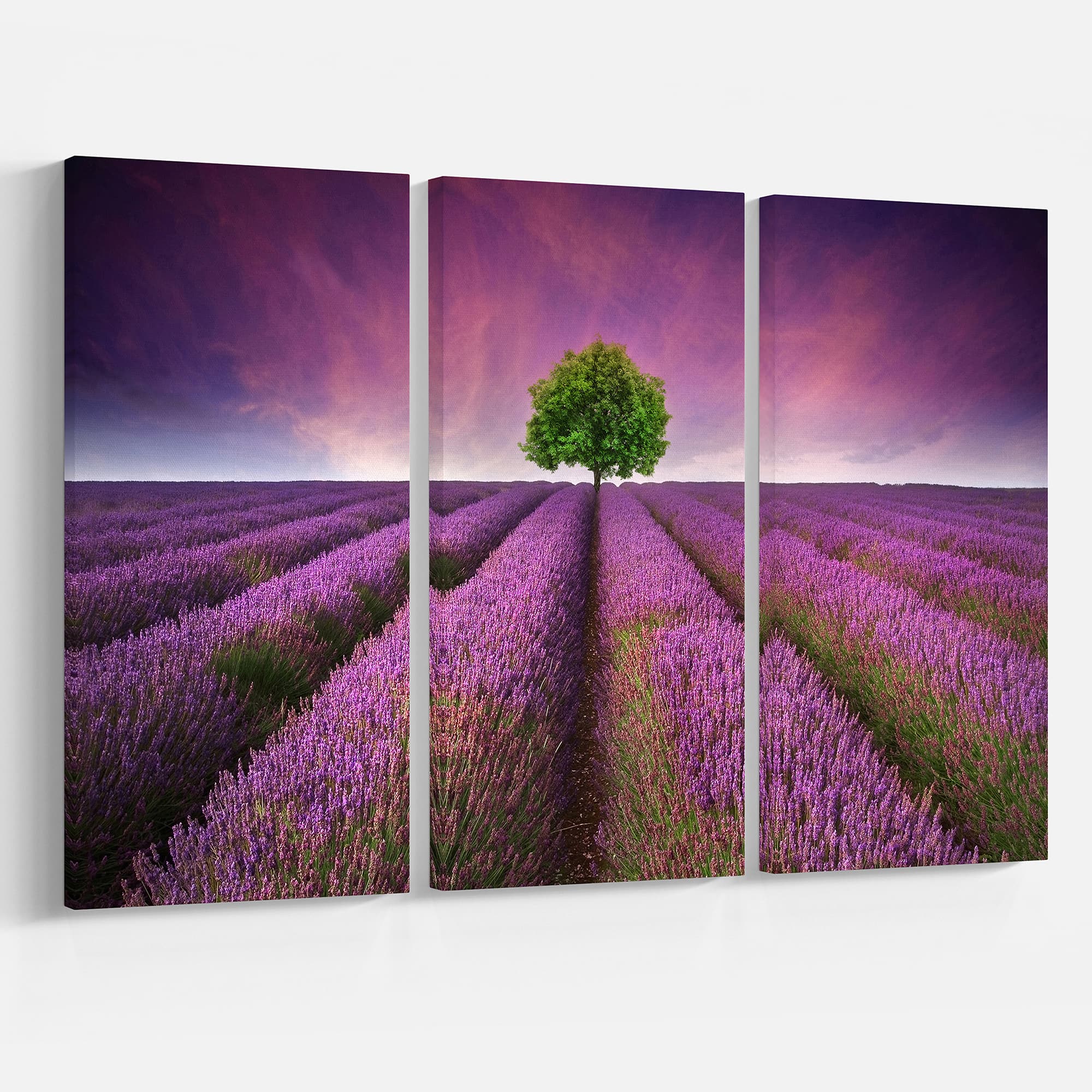 Designart - Lavender Field Sunset with Single Tree