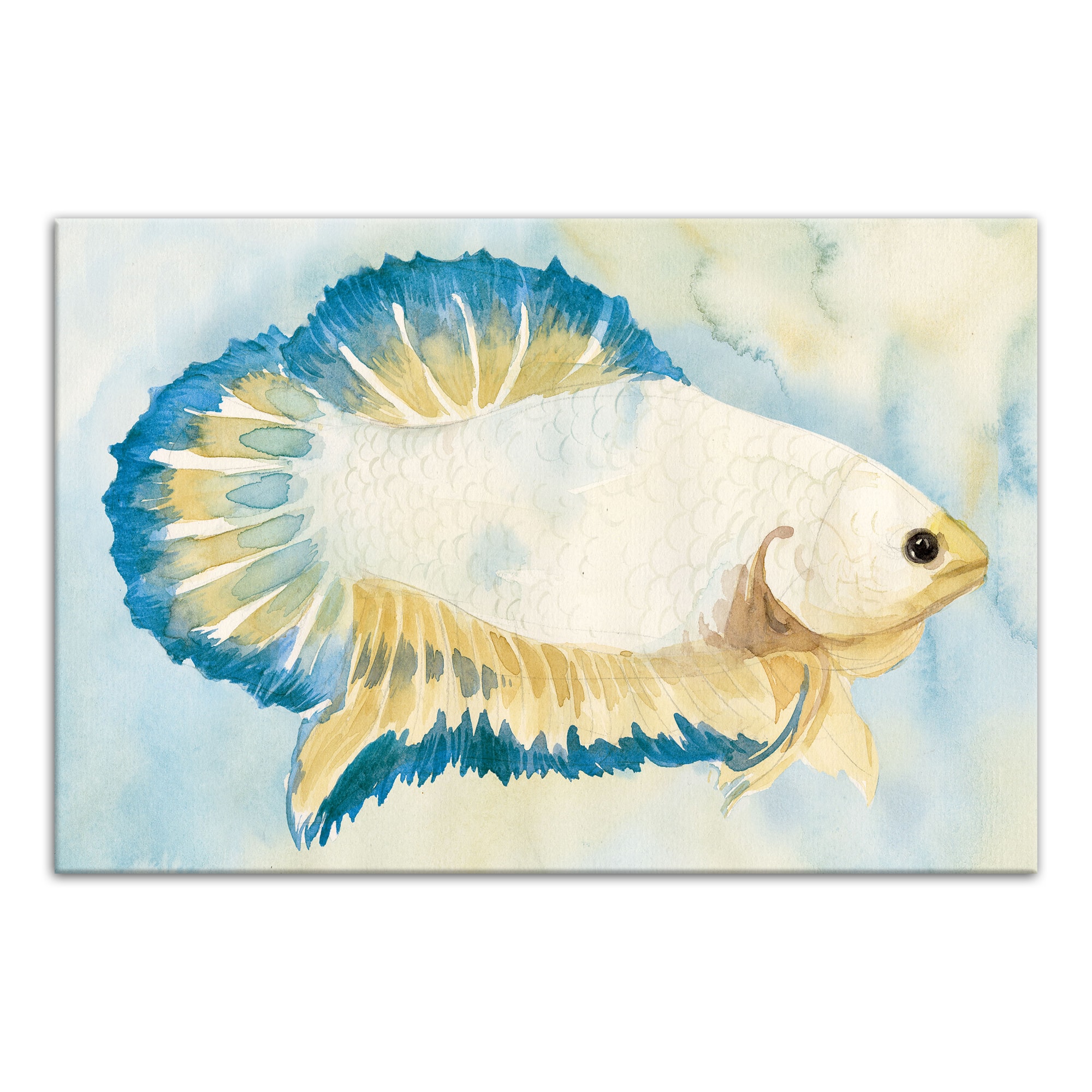 White And Blue Fish 18" x 12' Canvas Wall Art