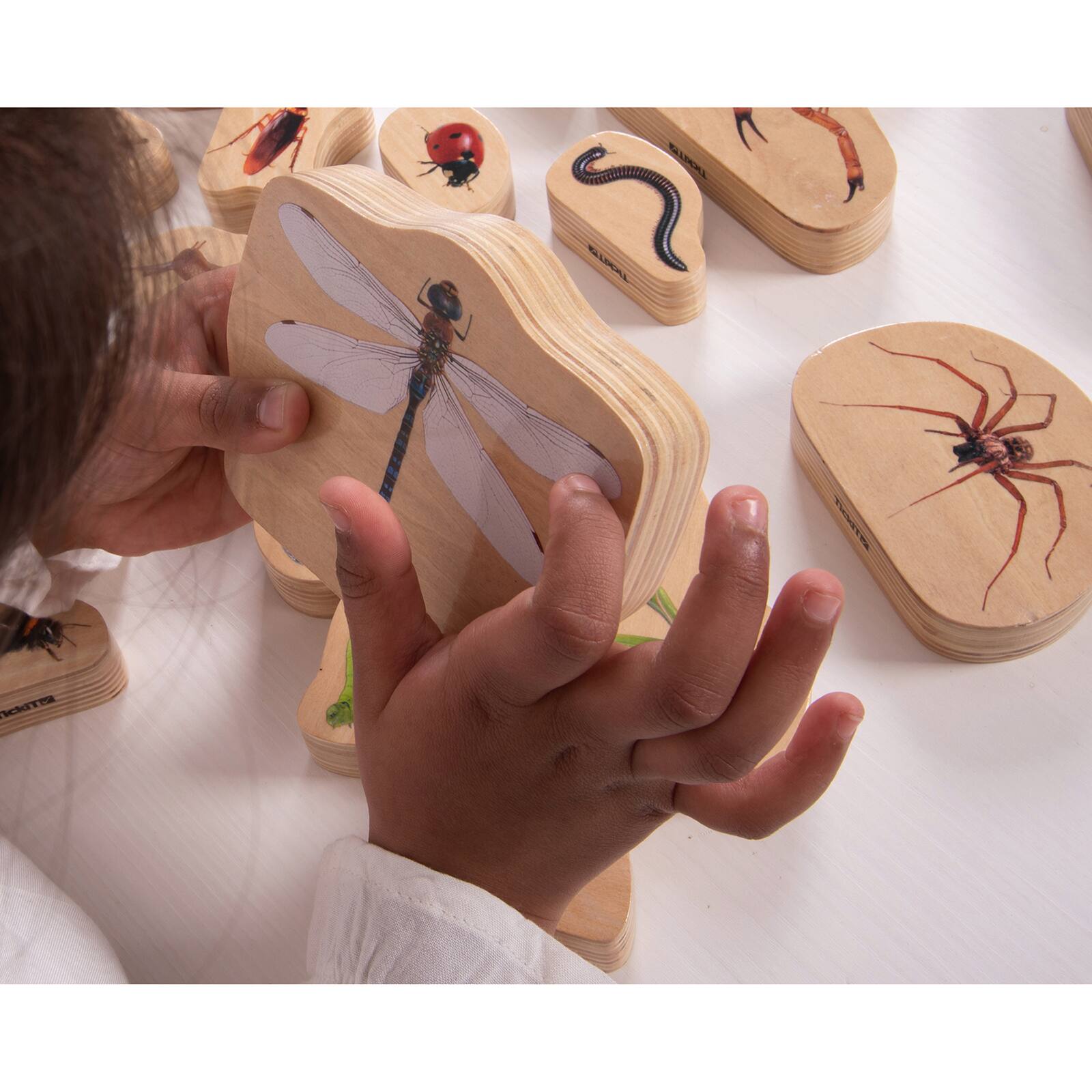 TickiT® Wooden Minibeast Blocks Set