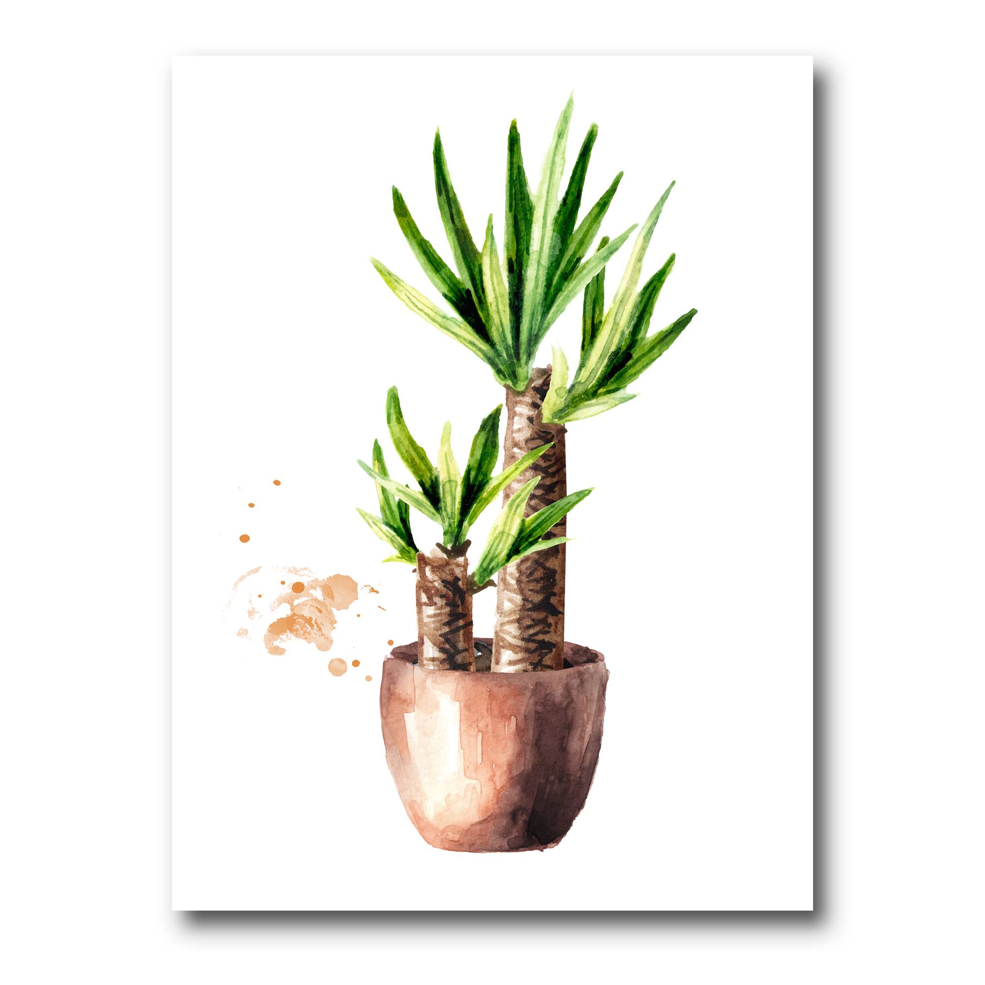 Designart - Yucca Tree In The Ceramic Flower Pot - Traditional Canvas Wall Art Print
