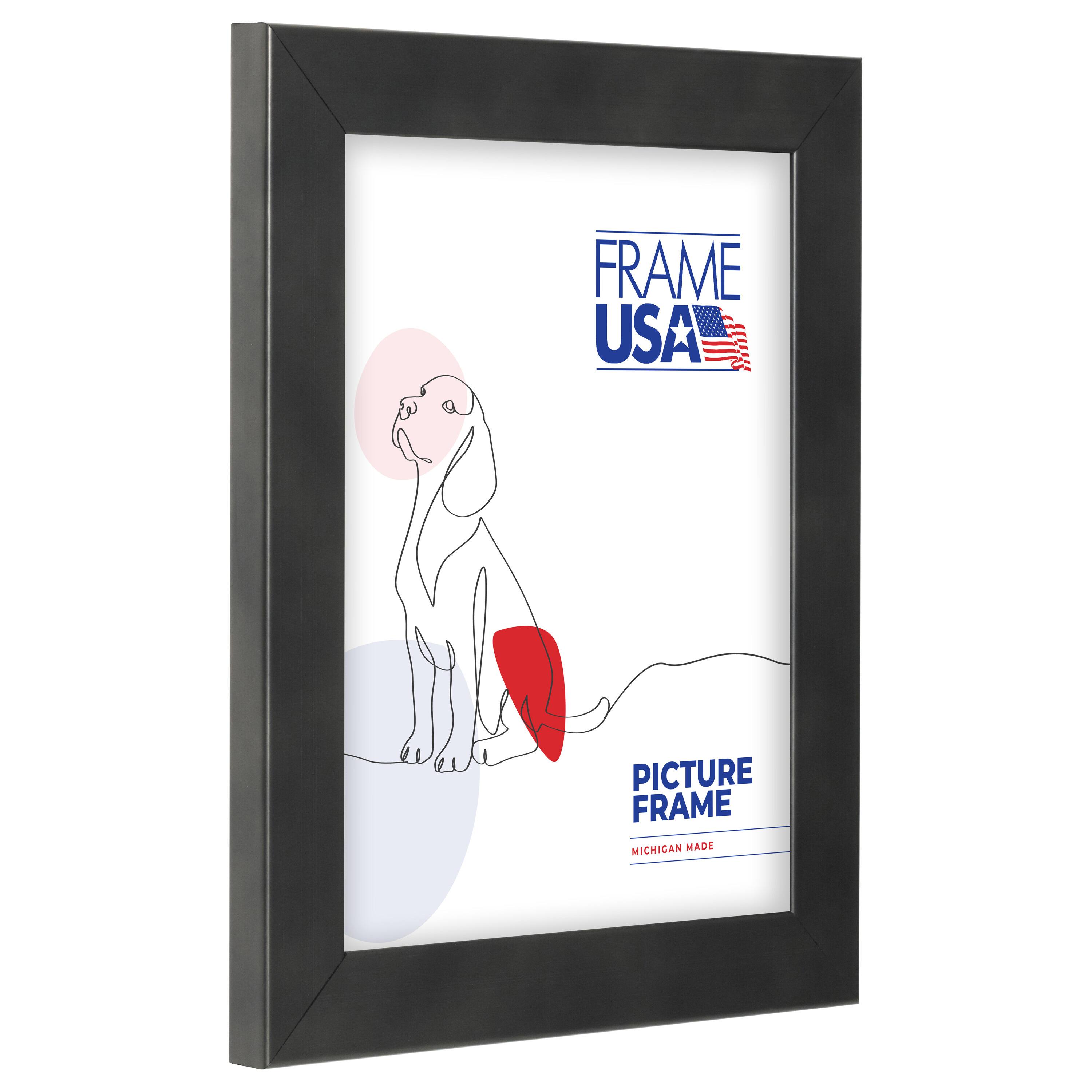 Frame USA Metal Narrow Single Image Picture Frame