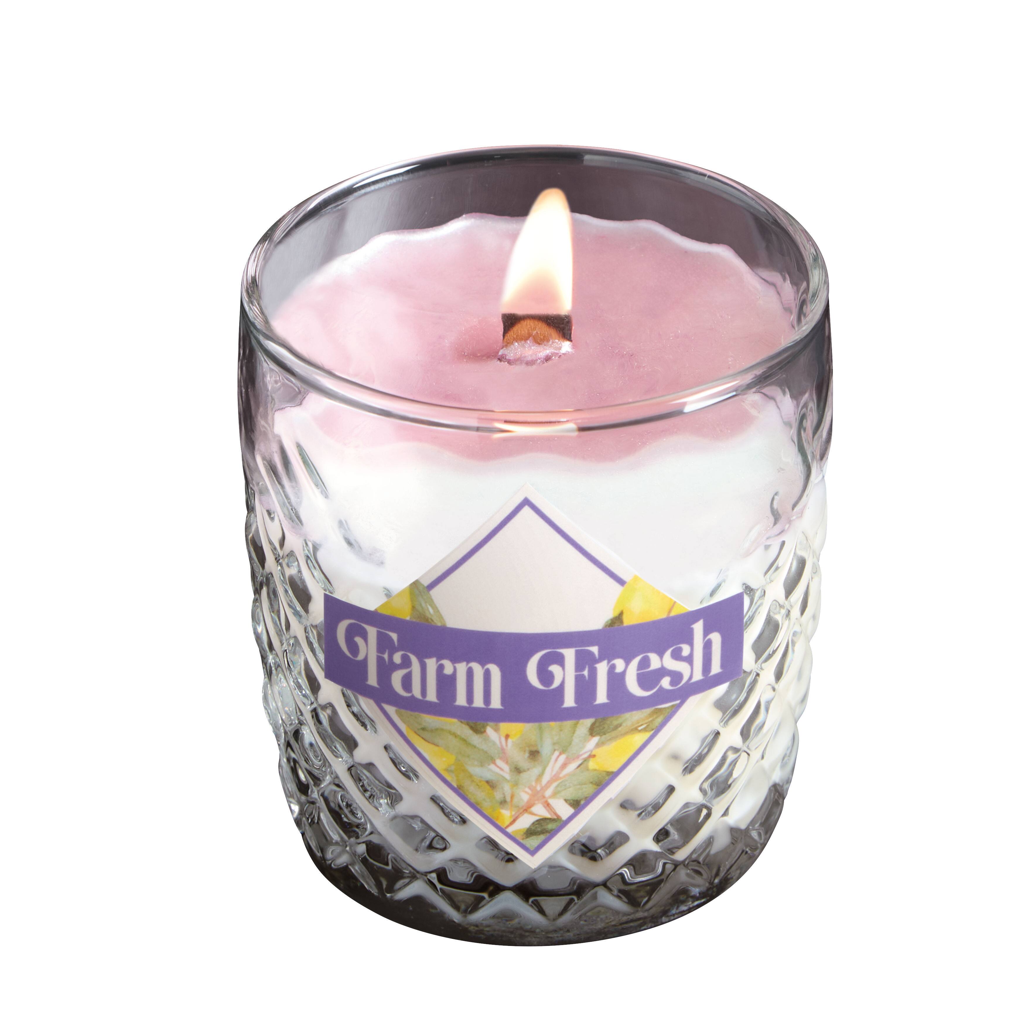 Farm Fresh Candle Making Kit by Make Market®