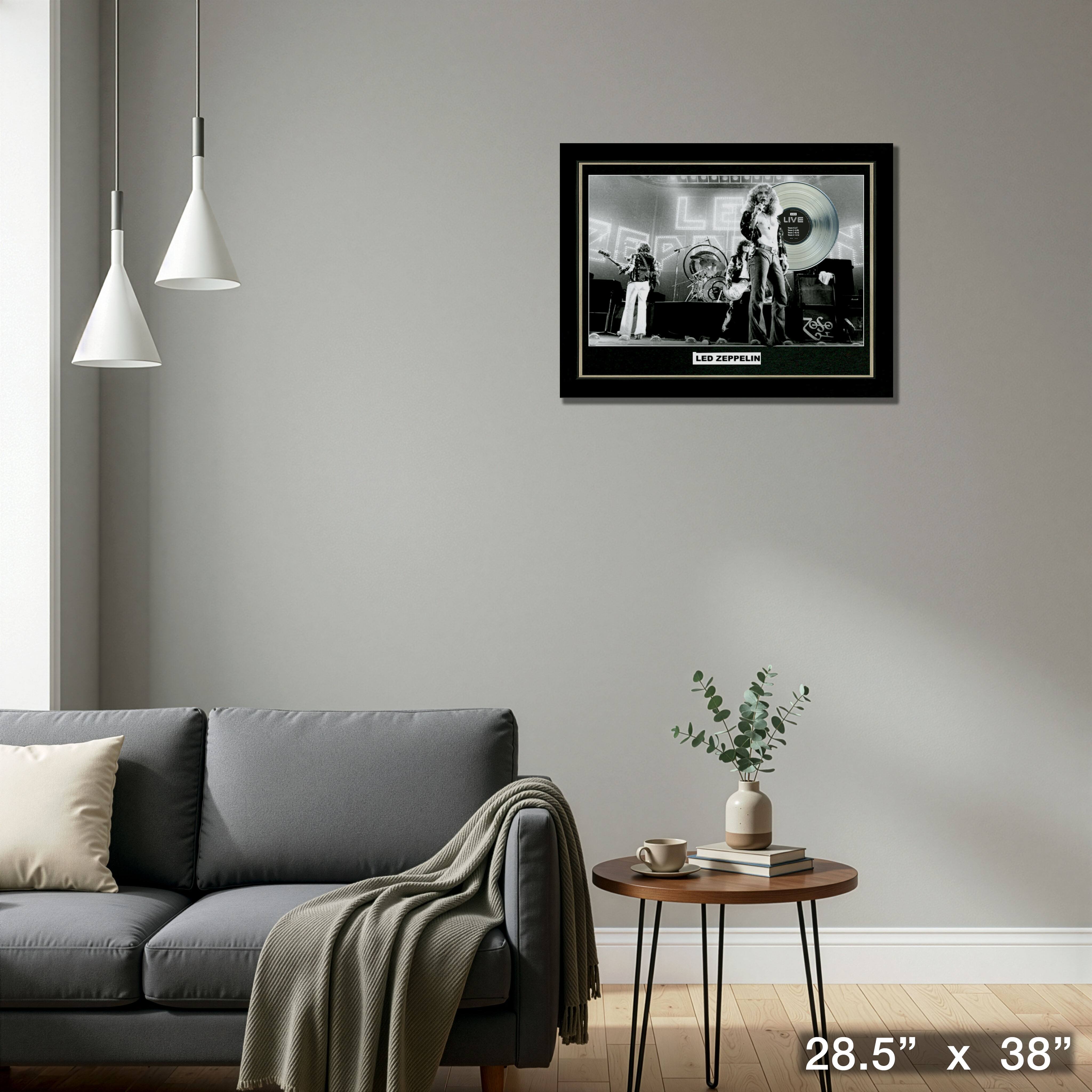 Led Zeppelin Live Framed with Platinum LP 28.5" x 38"