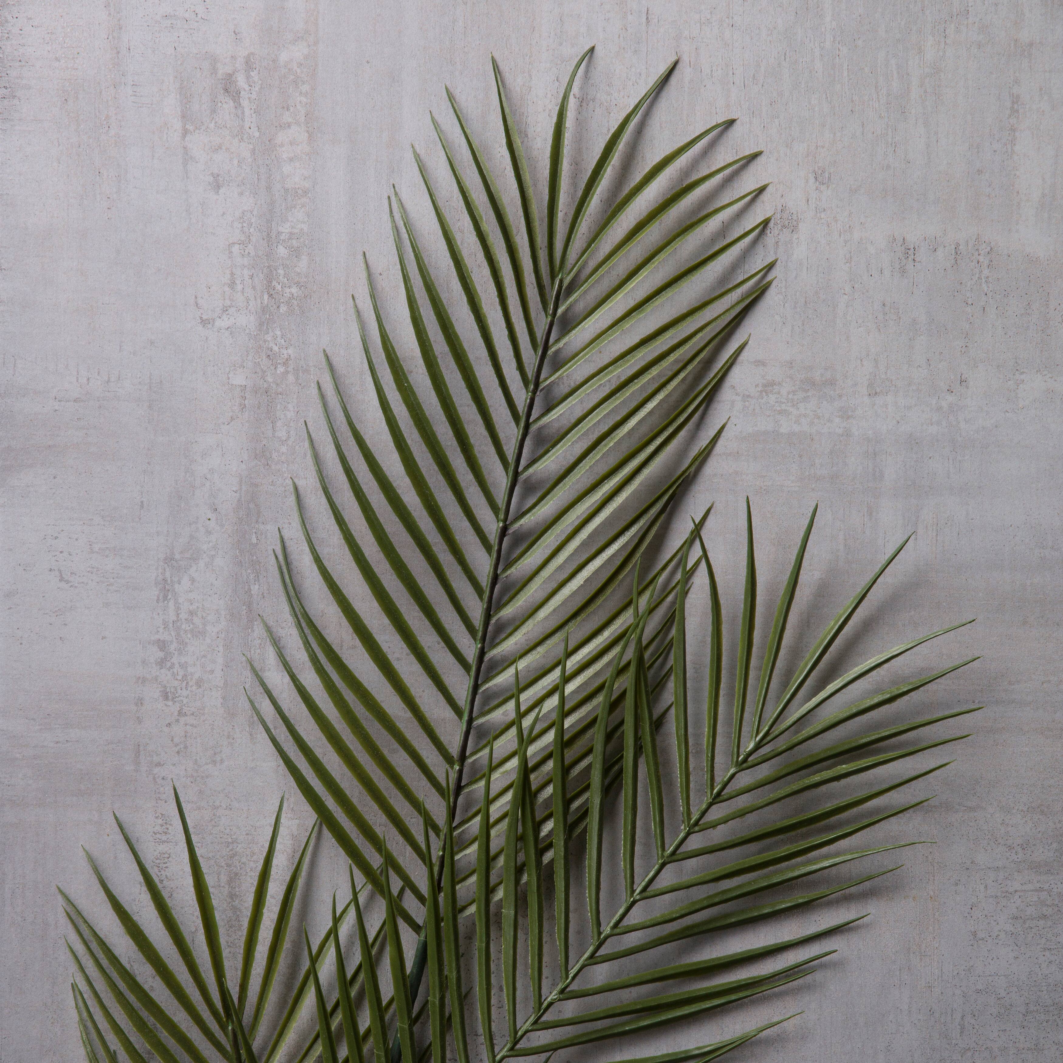 12 Pack: Green Tropical Areca Palm Stem by Ashland®