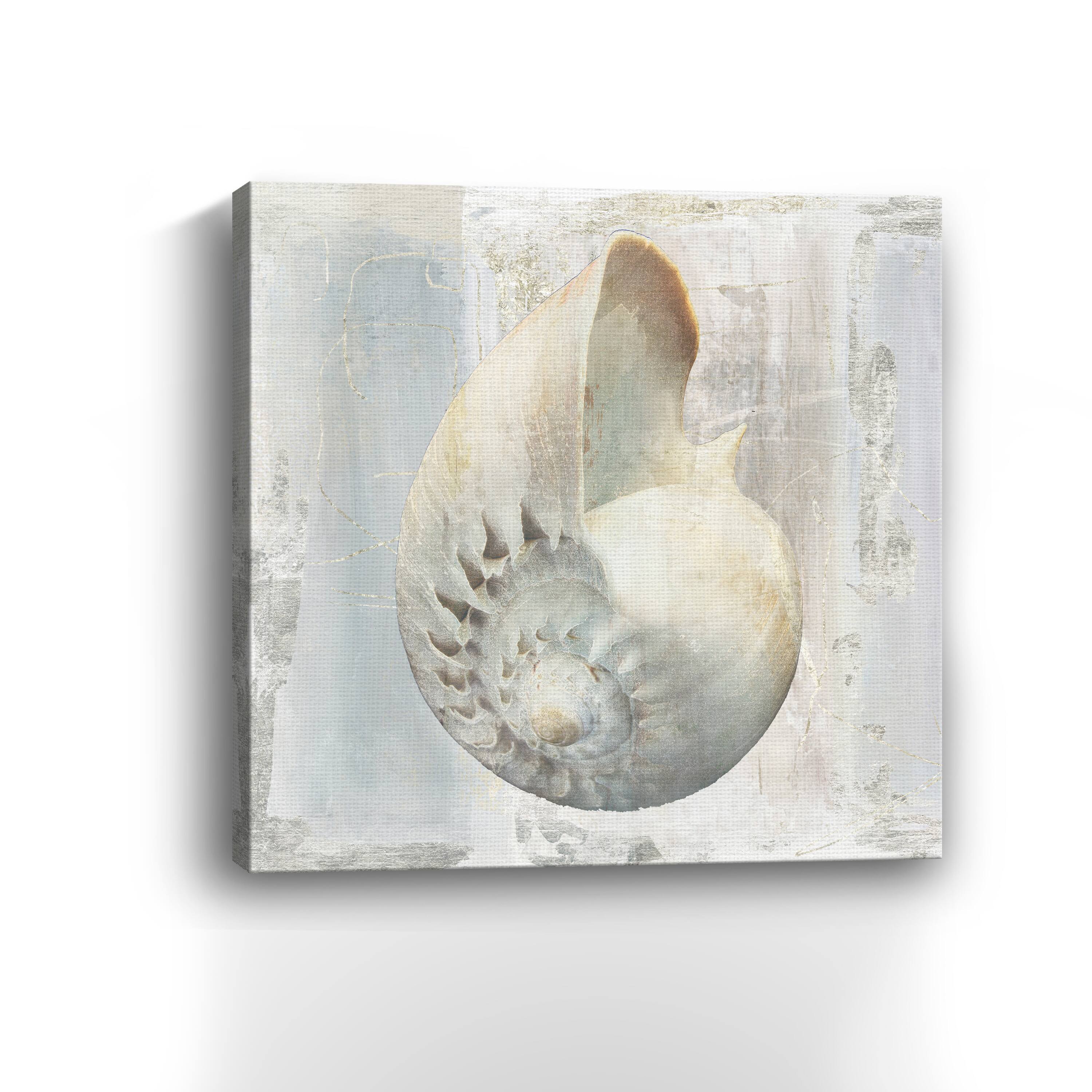 Shells I Canvas Giclee