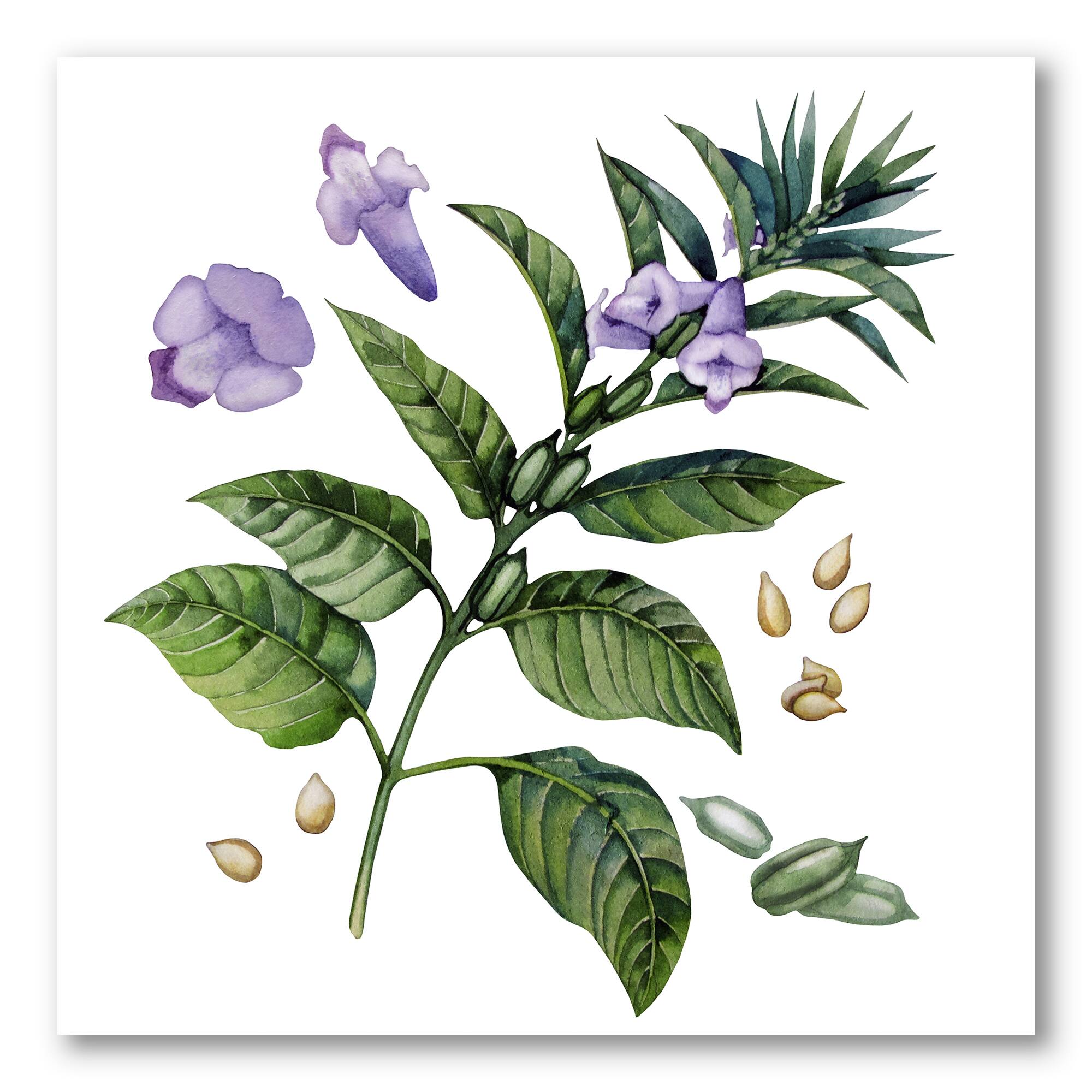 Designart - Purple Sesame Flowers WIth Green Leaves
