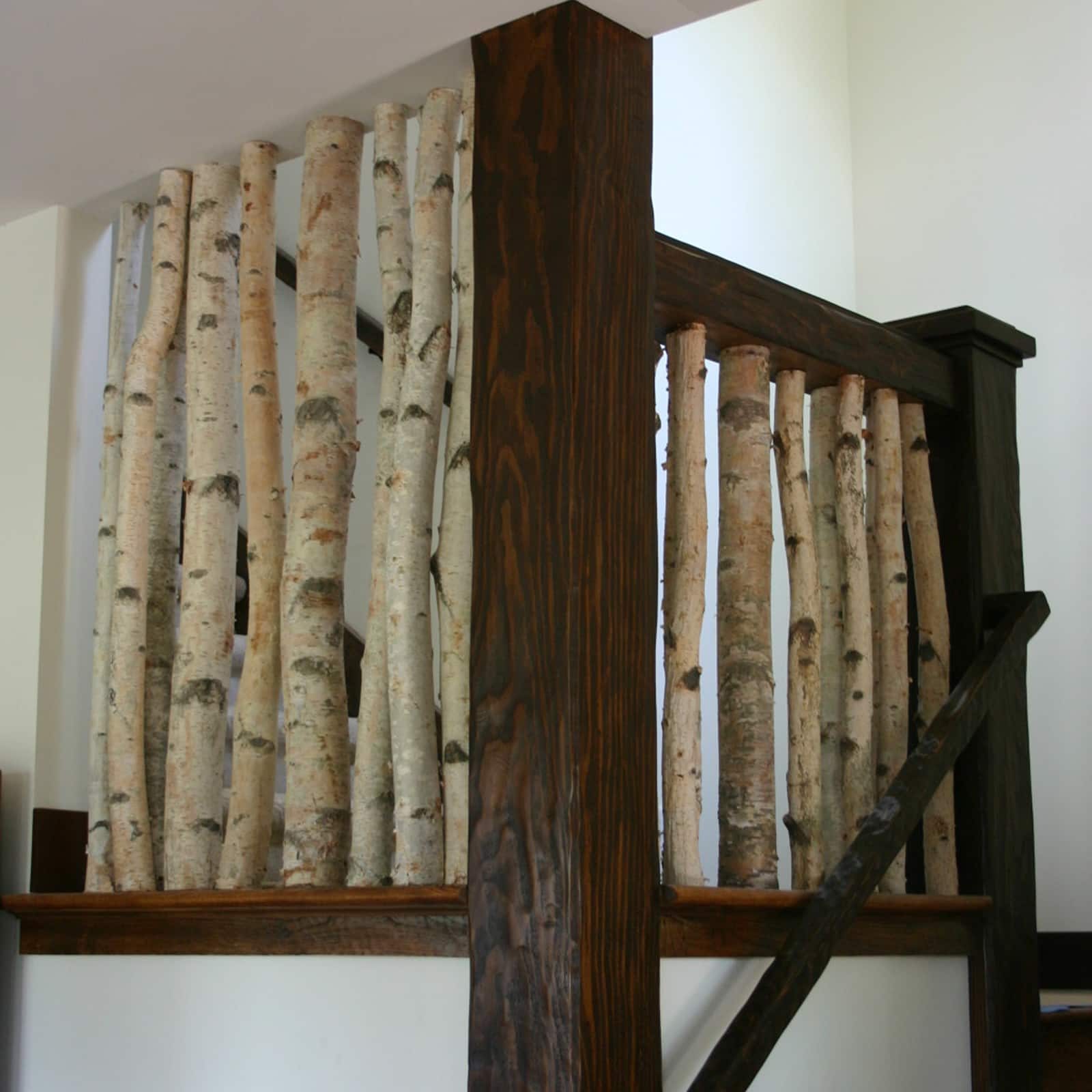 Wilson® Enterprises White Birch Poles