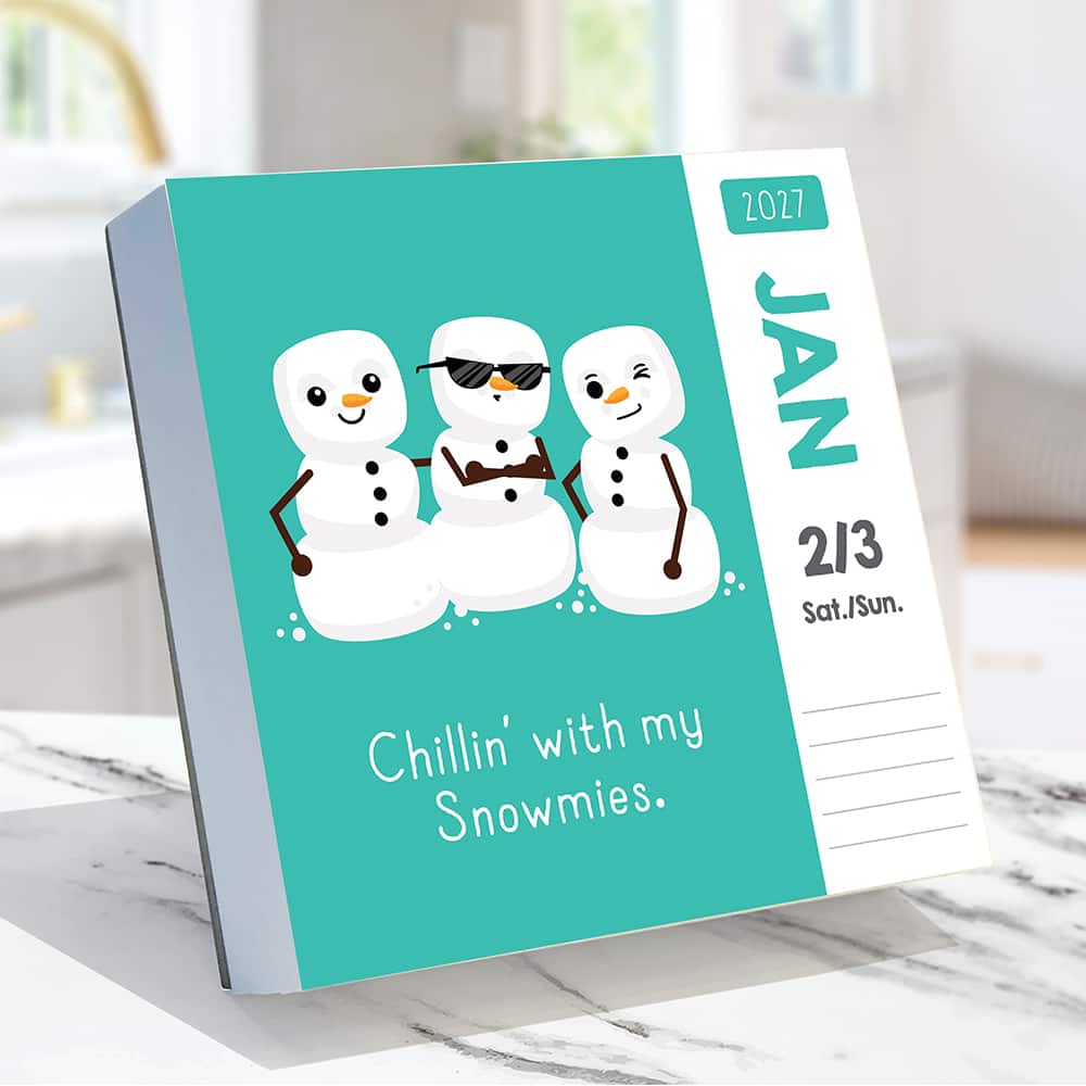 2027 Puns of Fun Daily Desktop Calendar