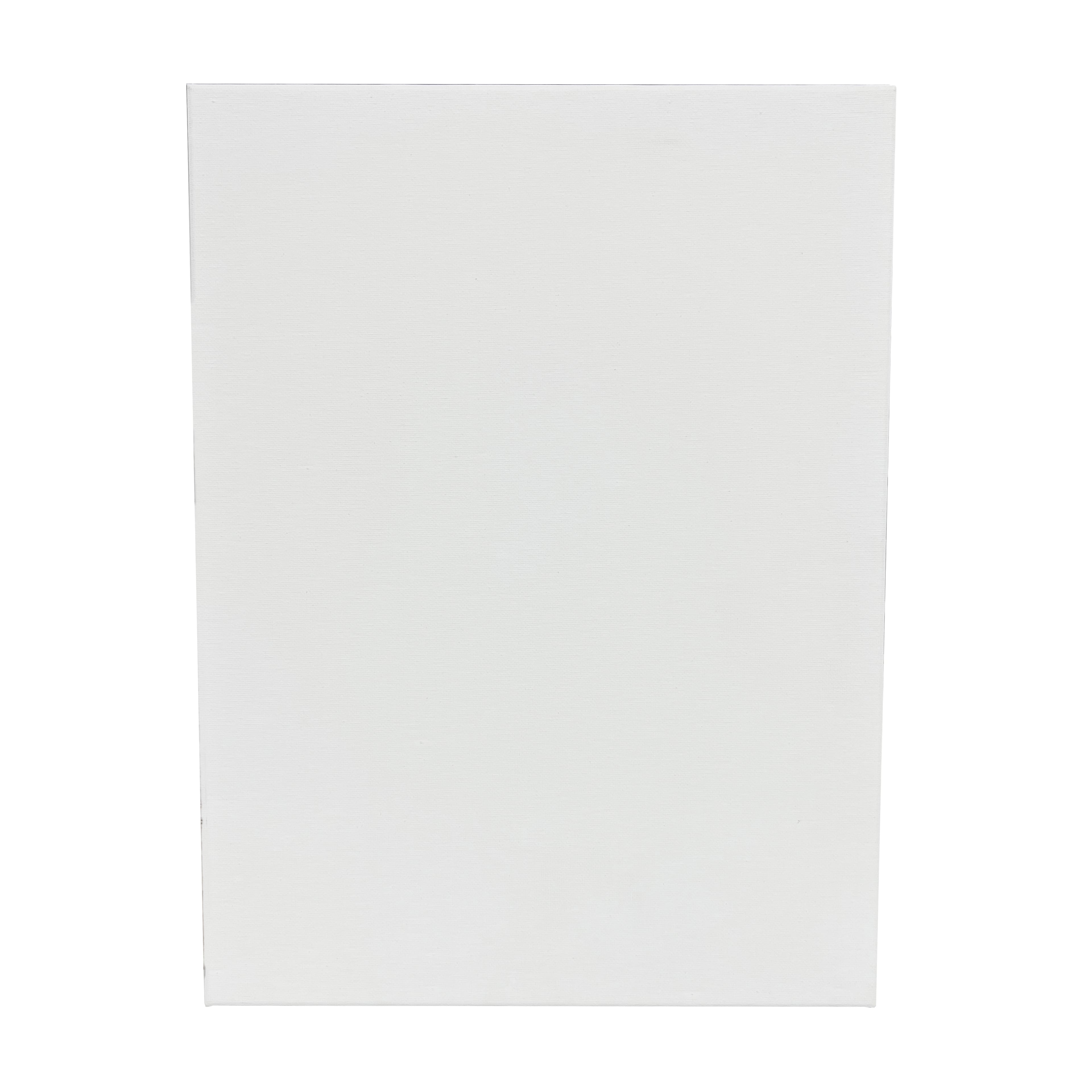 6 Pack 12" x 16" Super Value Canvas by Artist's Loft®