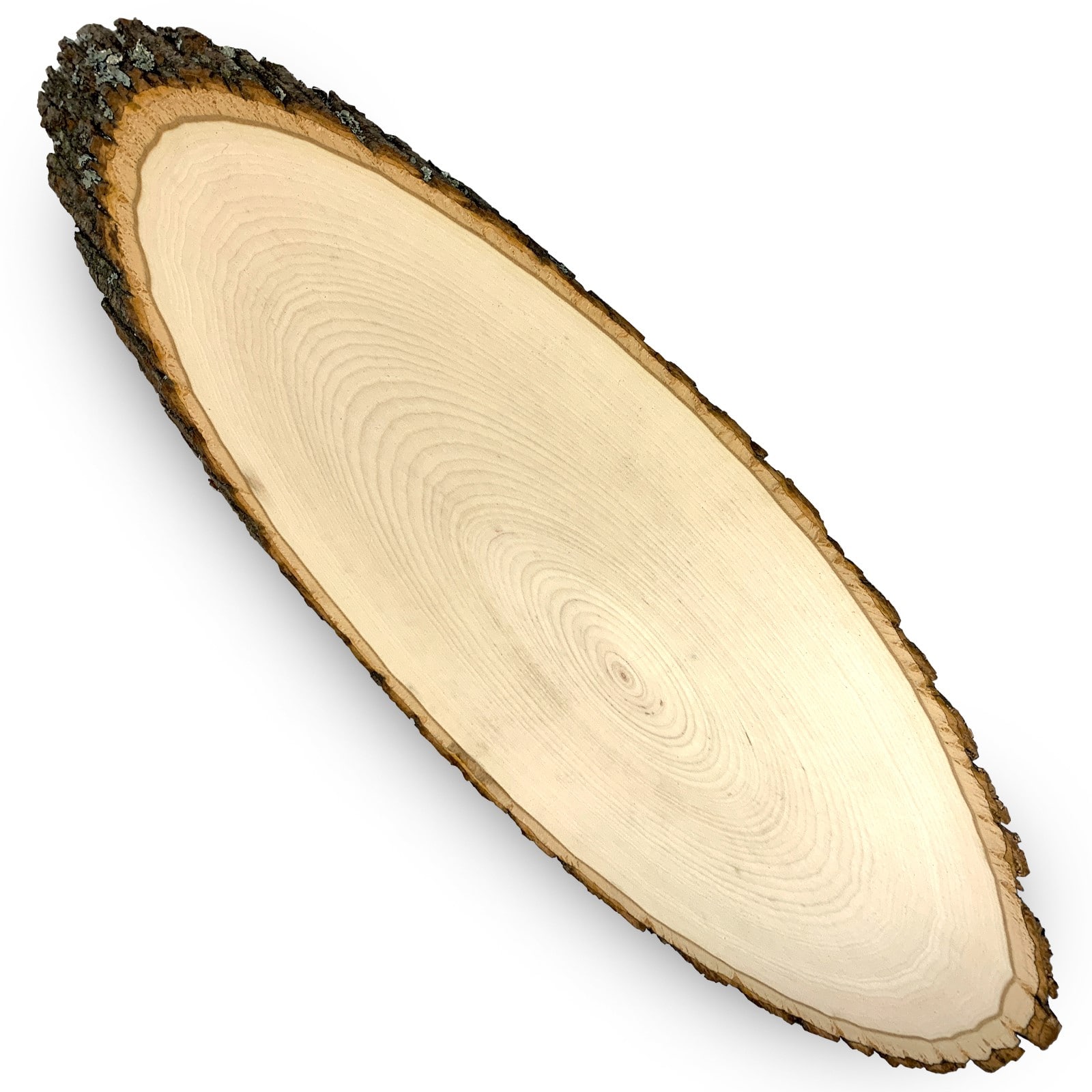 Wilson 2ft. Basswood Elongated Round Slice, 3ct.