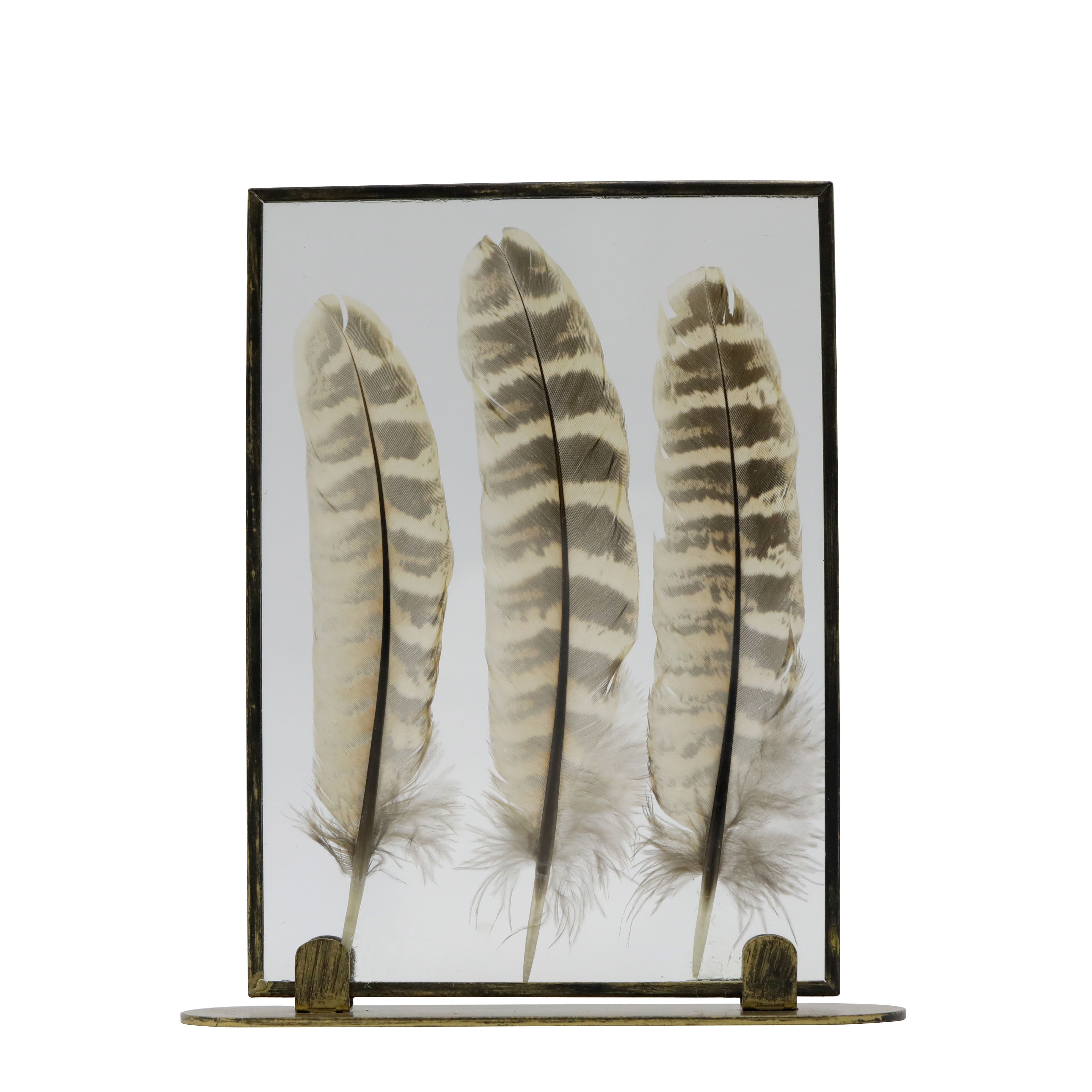 Framed Floating Feather Tabletop Décor by Ashland®