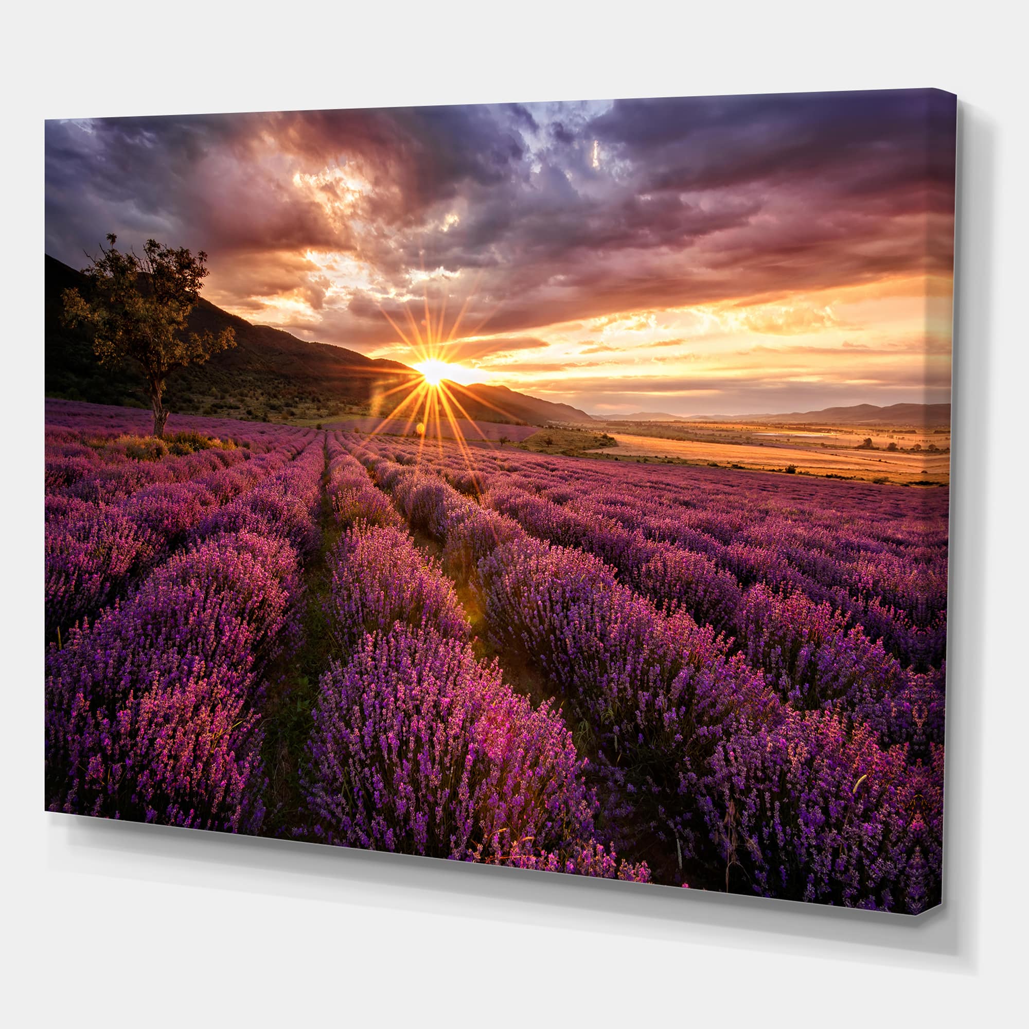 Designart - Sunrise & Dramatic Clouds Over Lavender Field IV - Farmhouse Canvas Wall Art Print