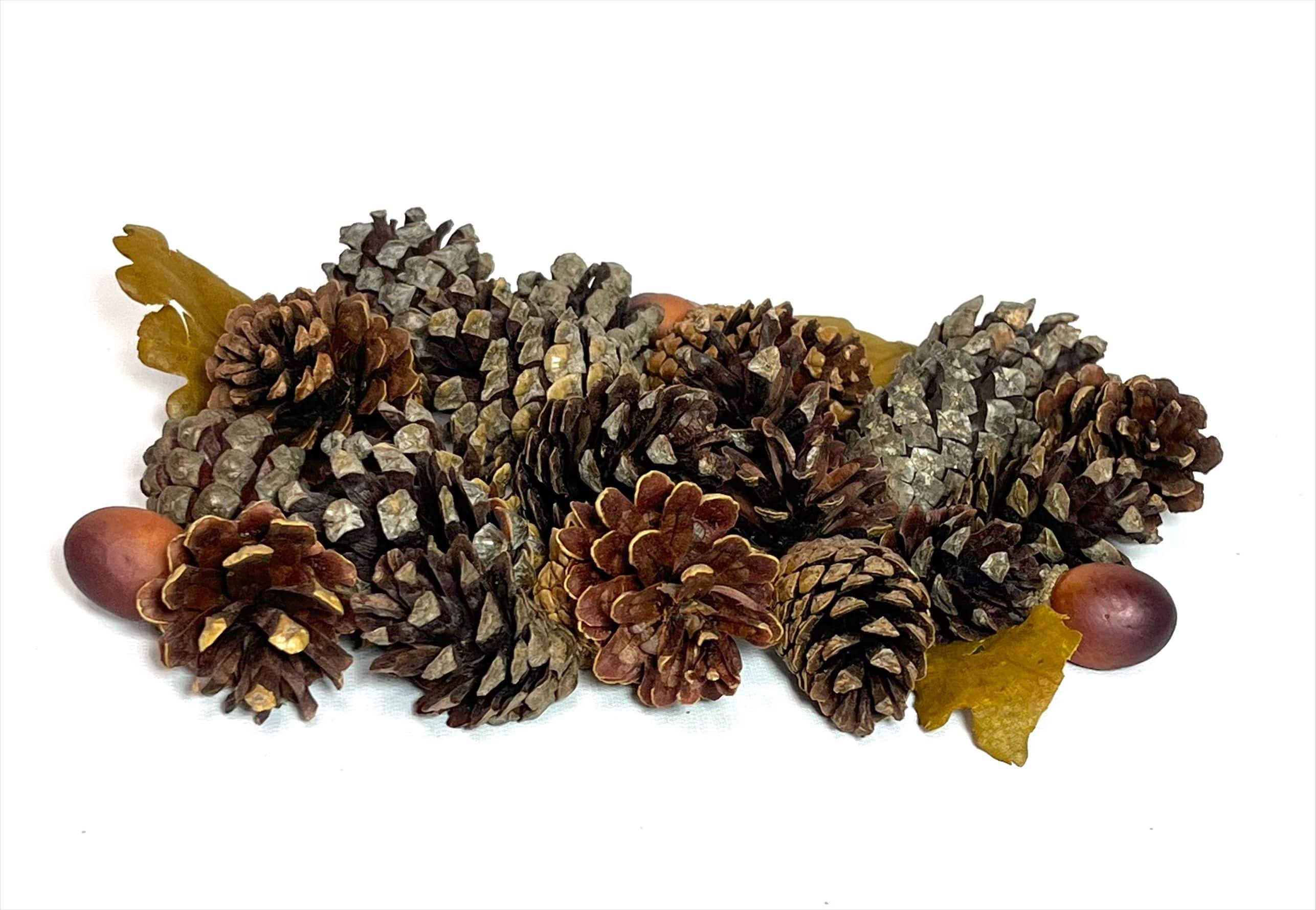 1qt. Pecan Caramel Scented Pinecones & Acorns by Ashland®