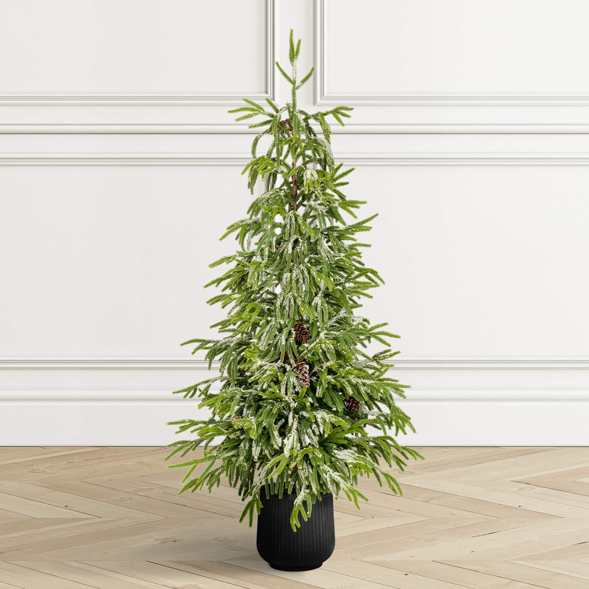Glitzhome® 3ft. Unlit Frosted Norfolk Pine with Pinecones Artificial Christmas Porch Tree