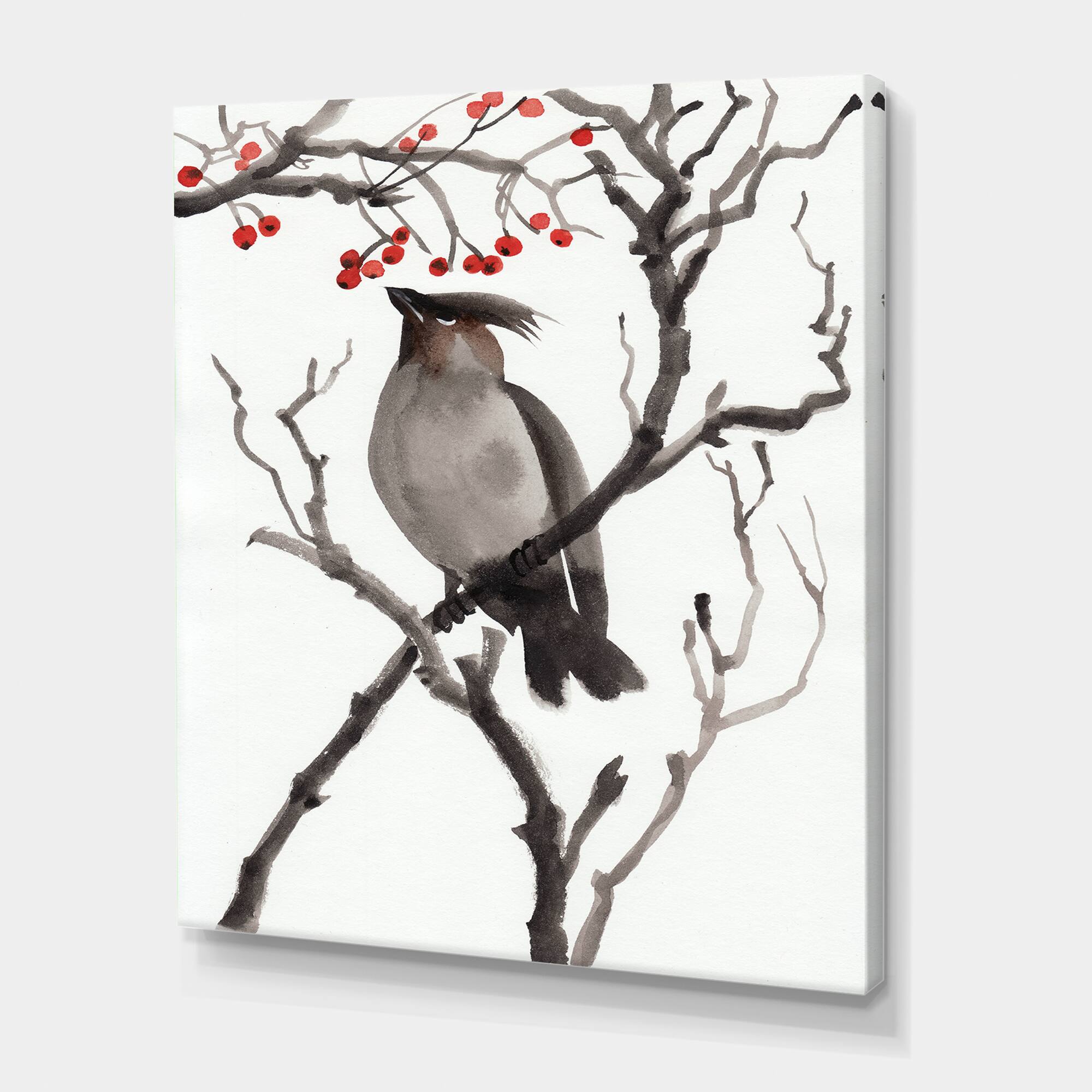 Designart - Vintage Australian Bird Illustrations III - Traditional Canvas Wall Art Print