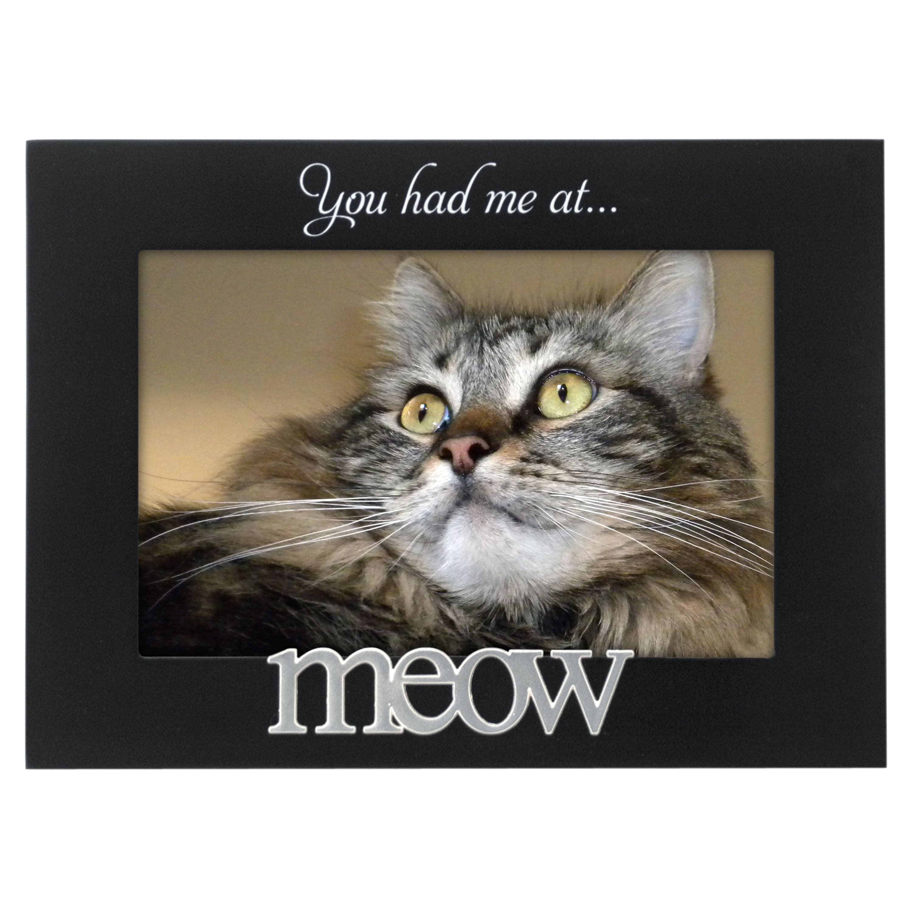 Malden International Designs You Had Me at Meow Expressions 4" x 6" Black Cat Frame