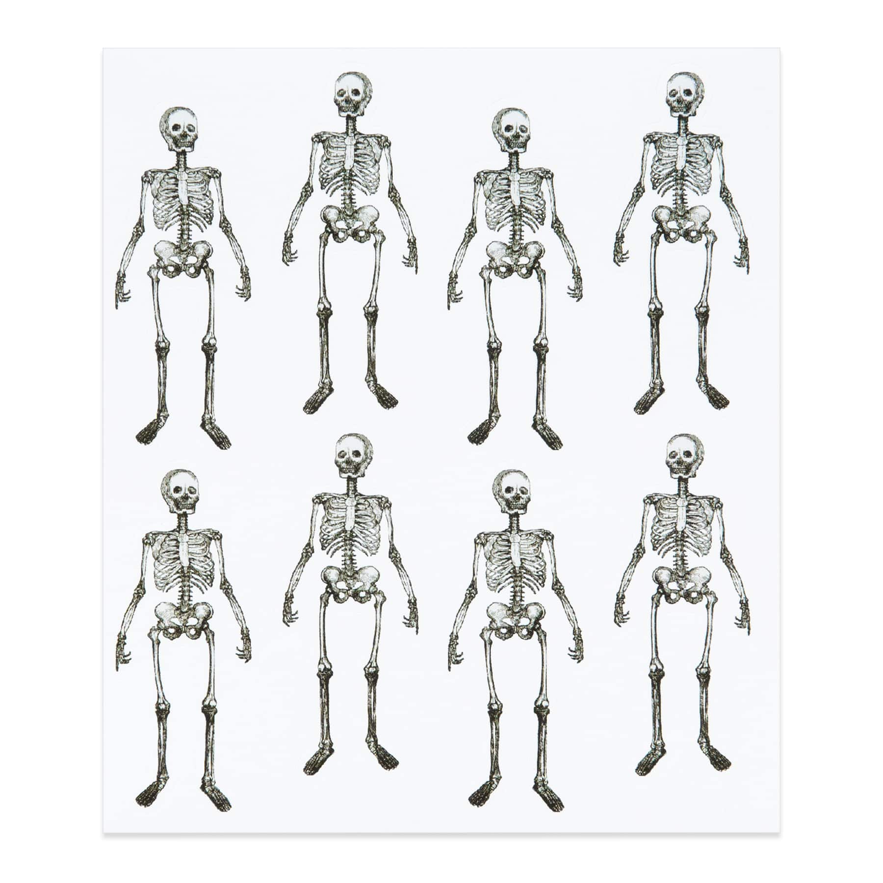 Standing Skeleton Stickers by Recollections™