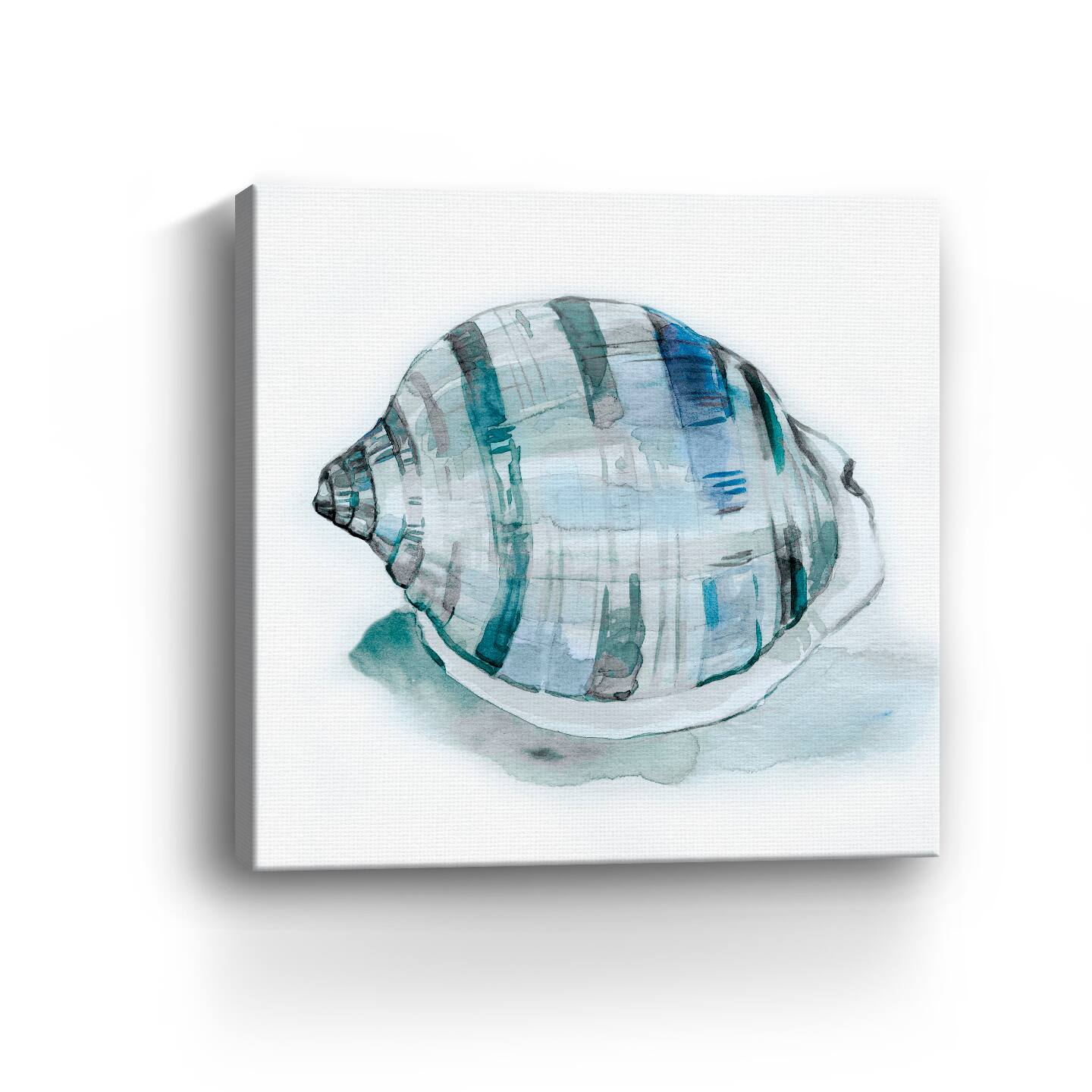 Le Coquillage I Canvas Giclee