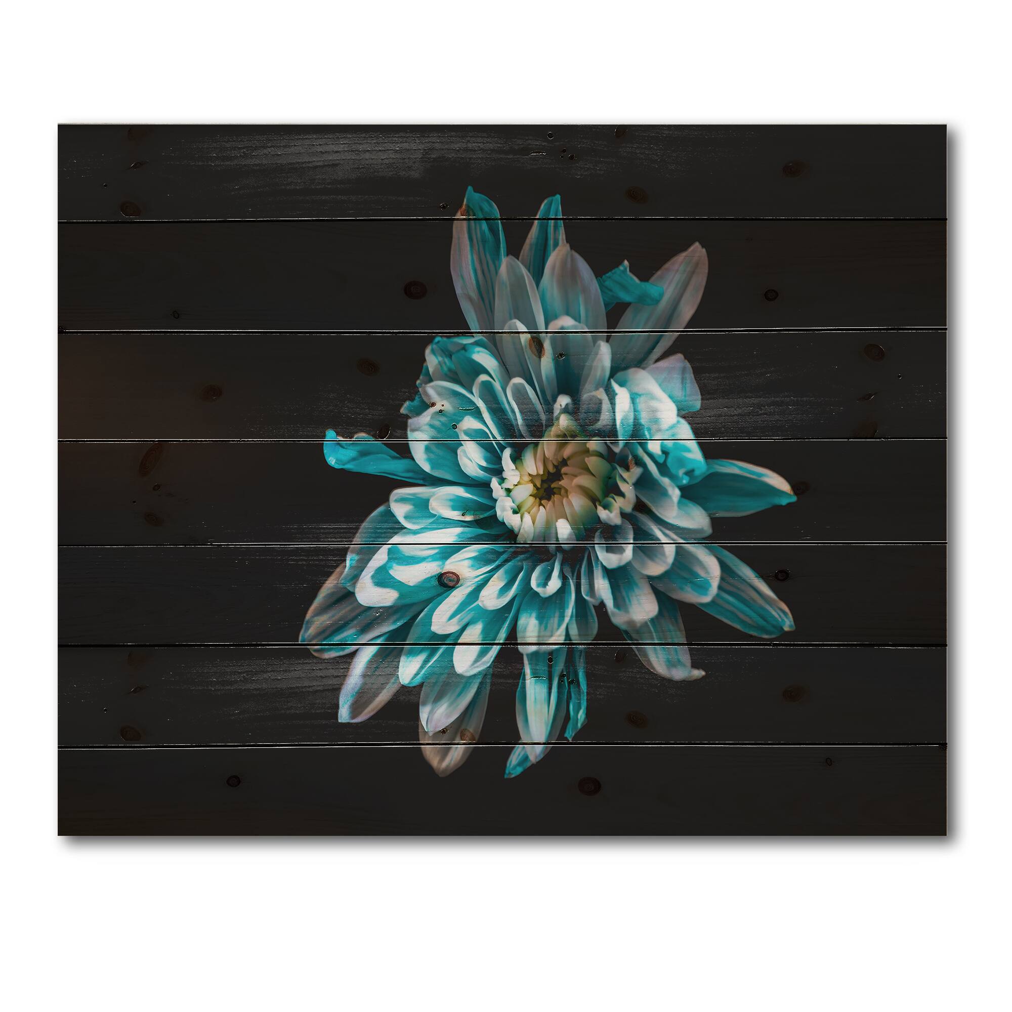 Designart - Top View of Blue and White Flower - Traditional Print on Natural Pine Wood