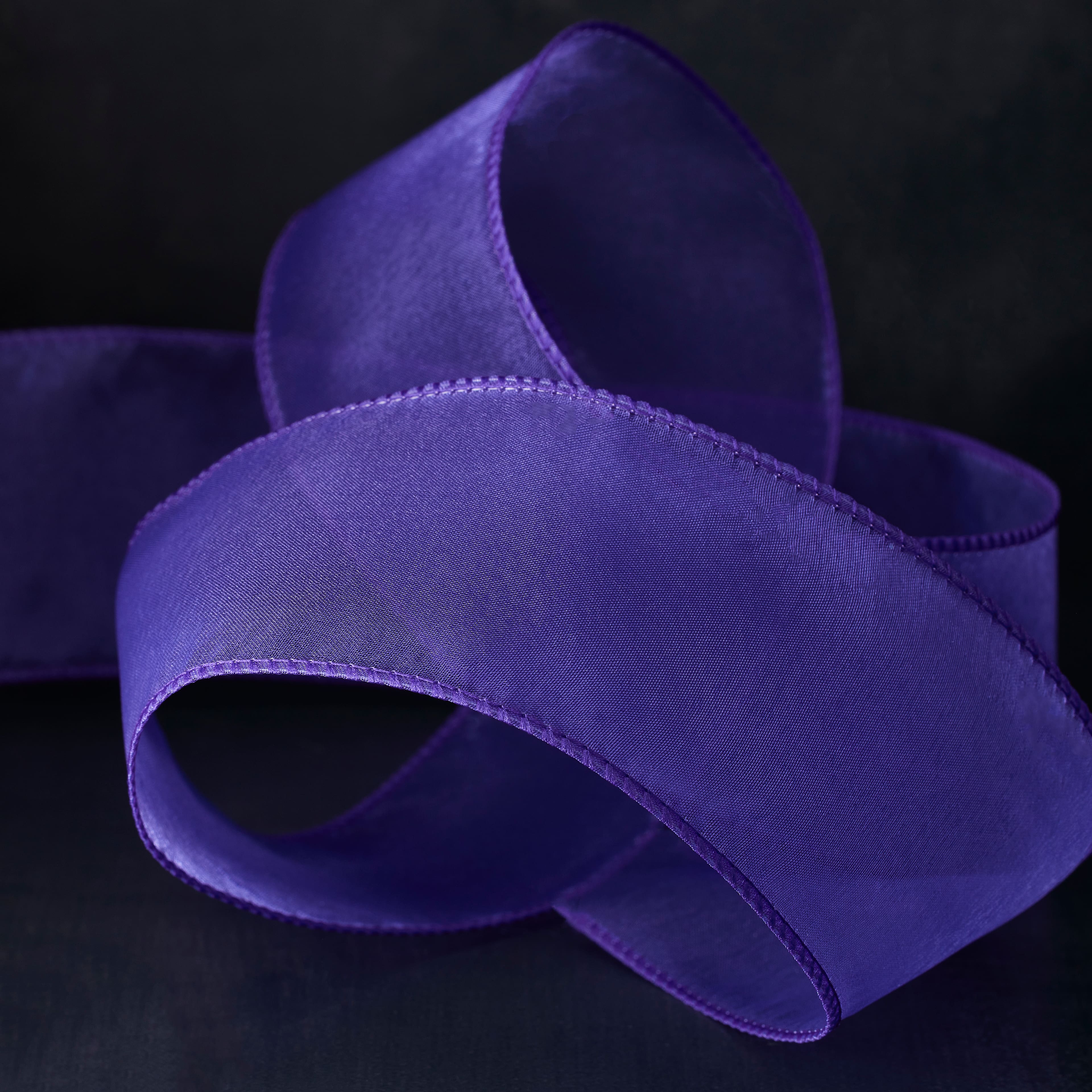 2.5" x 10yd. Sheer Wired Ribbon by Celebrate It® Specialty