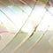 Lacquered Curling Ribbon by Celebrate It™