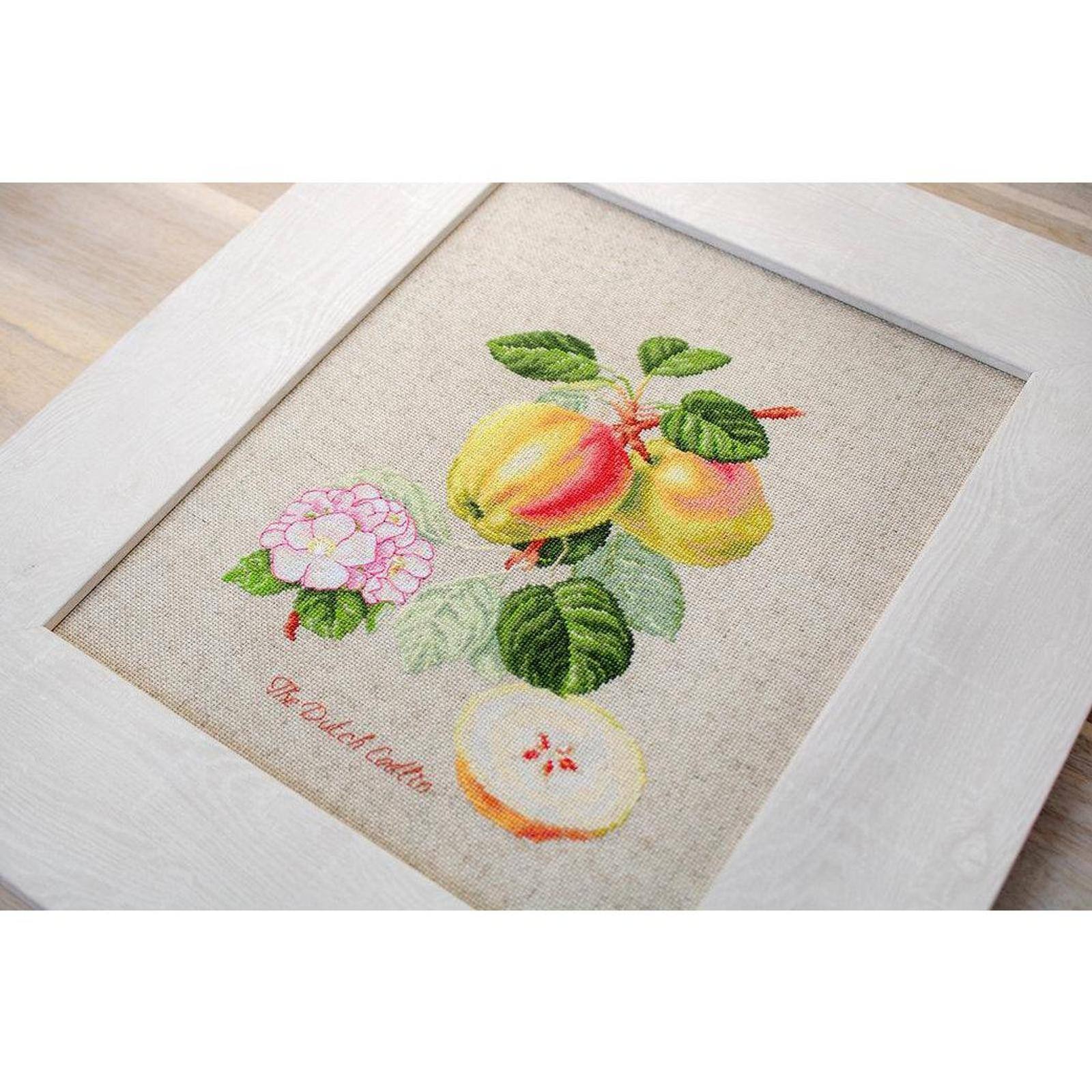 Luca-s The Dutch Codlin Counted Cross Stitch Kit