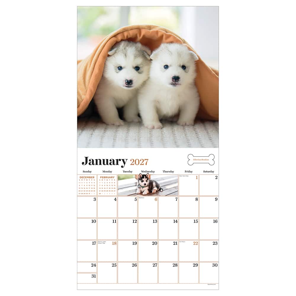 2027 Puppies Wall Calendar
