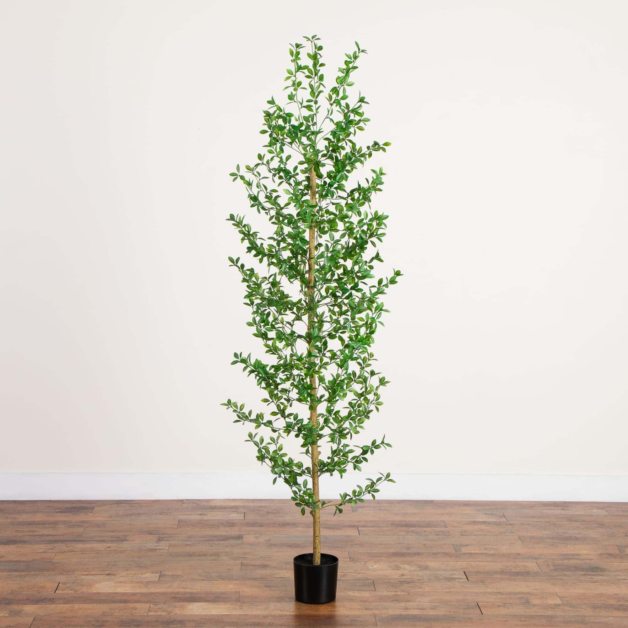 6ft. Artificial Shady Lady Black Olive Tree