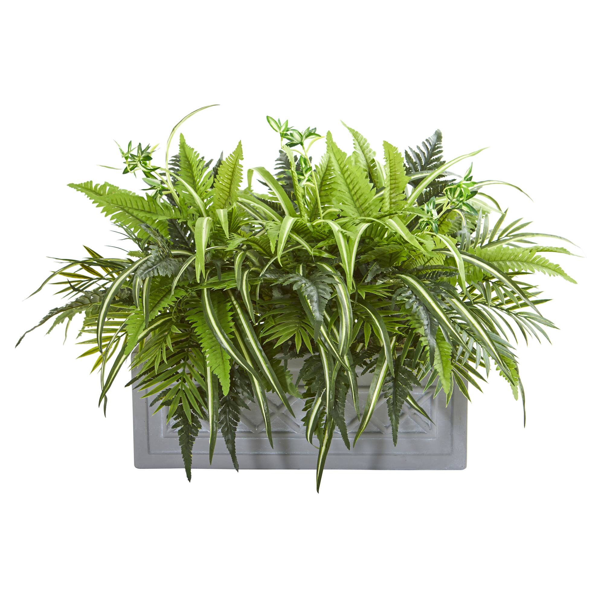 22" Mixed Greens & Fern Plant in Stone Planter