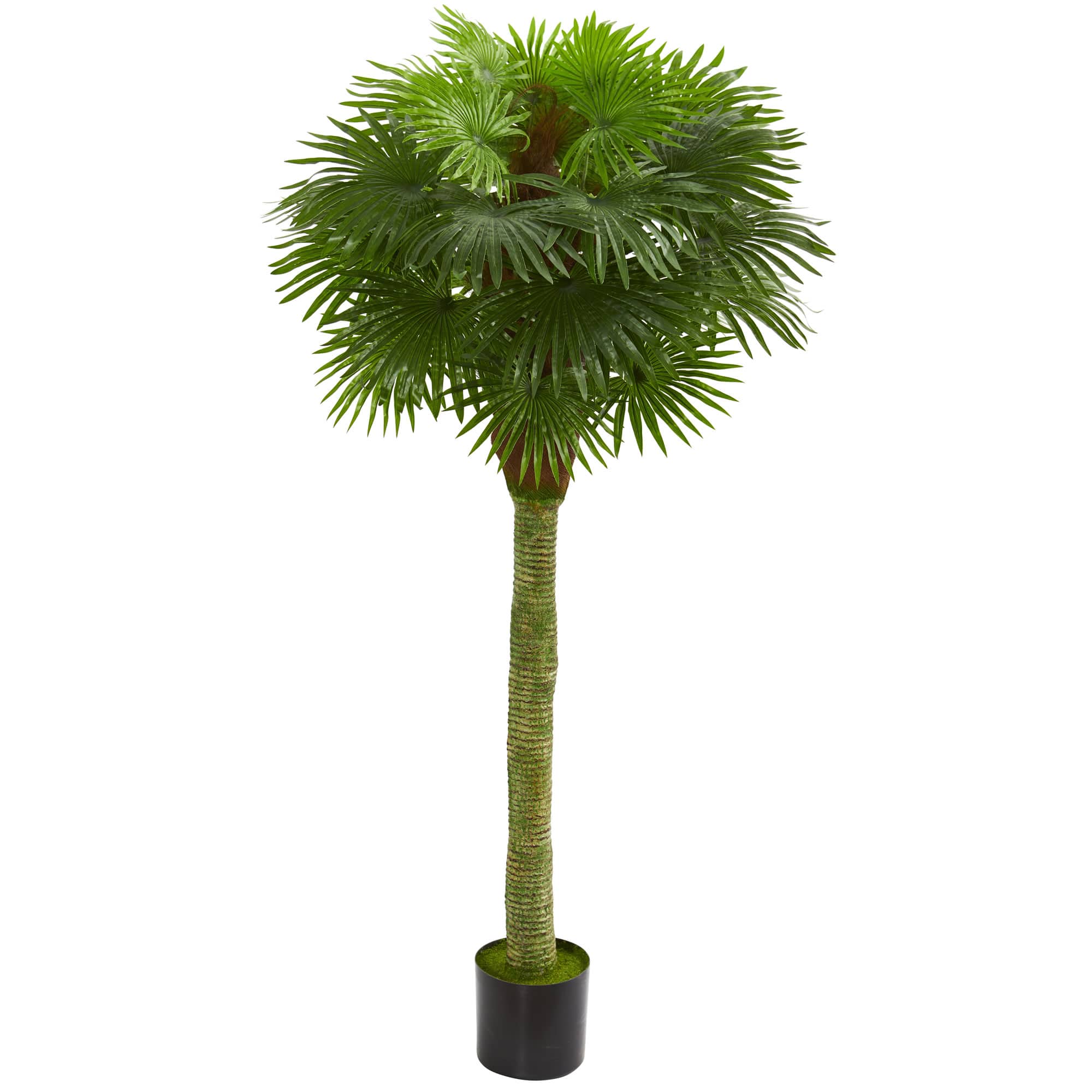 5.5ft. Potted UV Resistant Fan Palm Artificial Tree 