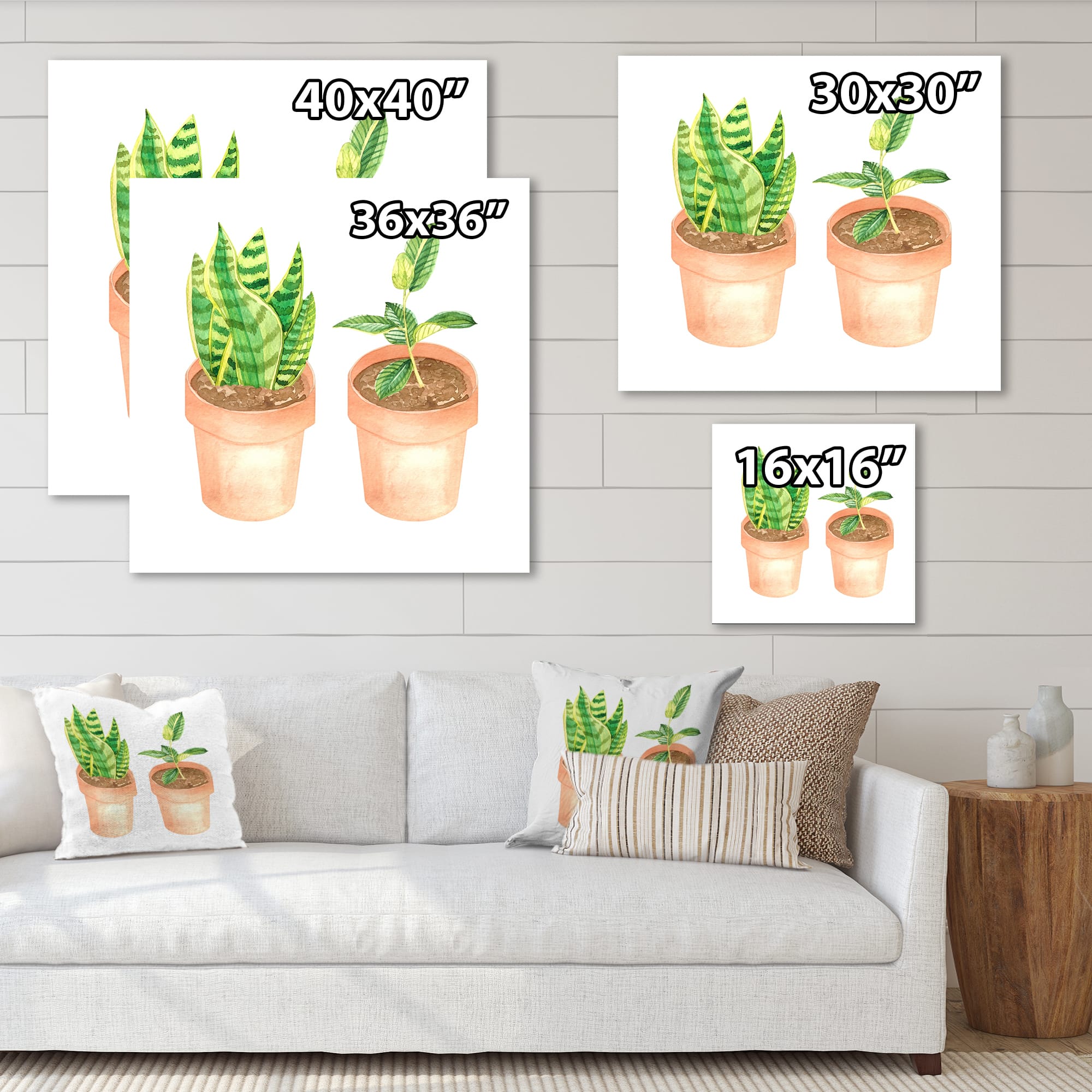 Designart - Sansevieria & Ficus Indoor Green Home House Plants - Traditional Canvas Wall Art Print