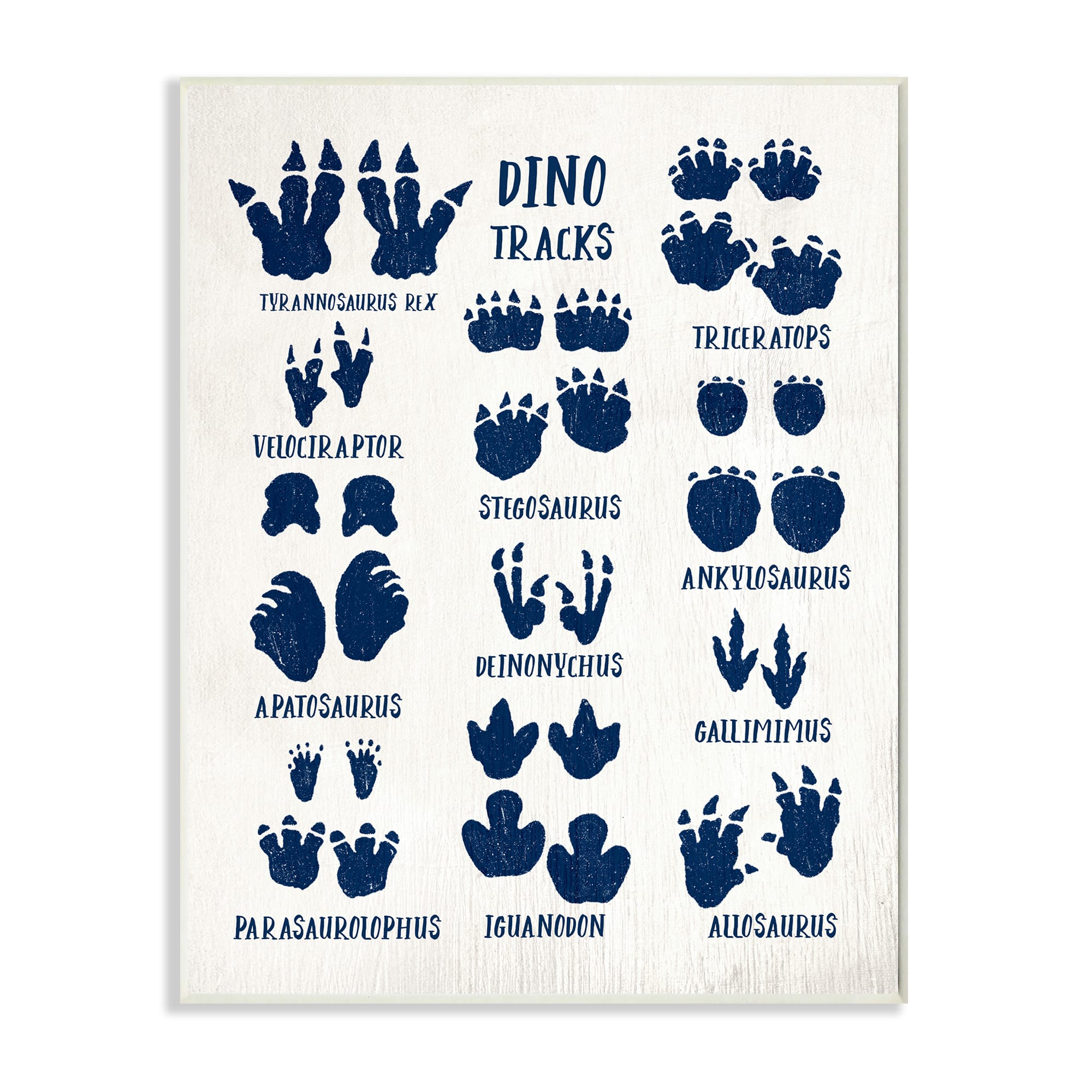 Stupell Industries Chart of Dinosaur Tracks Wall Plaque