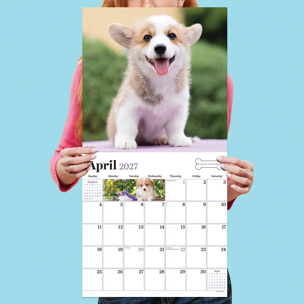 2027 Puppies Wall Calendar